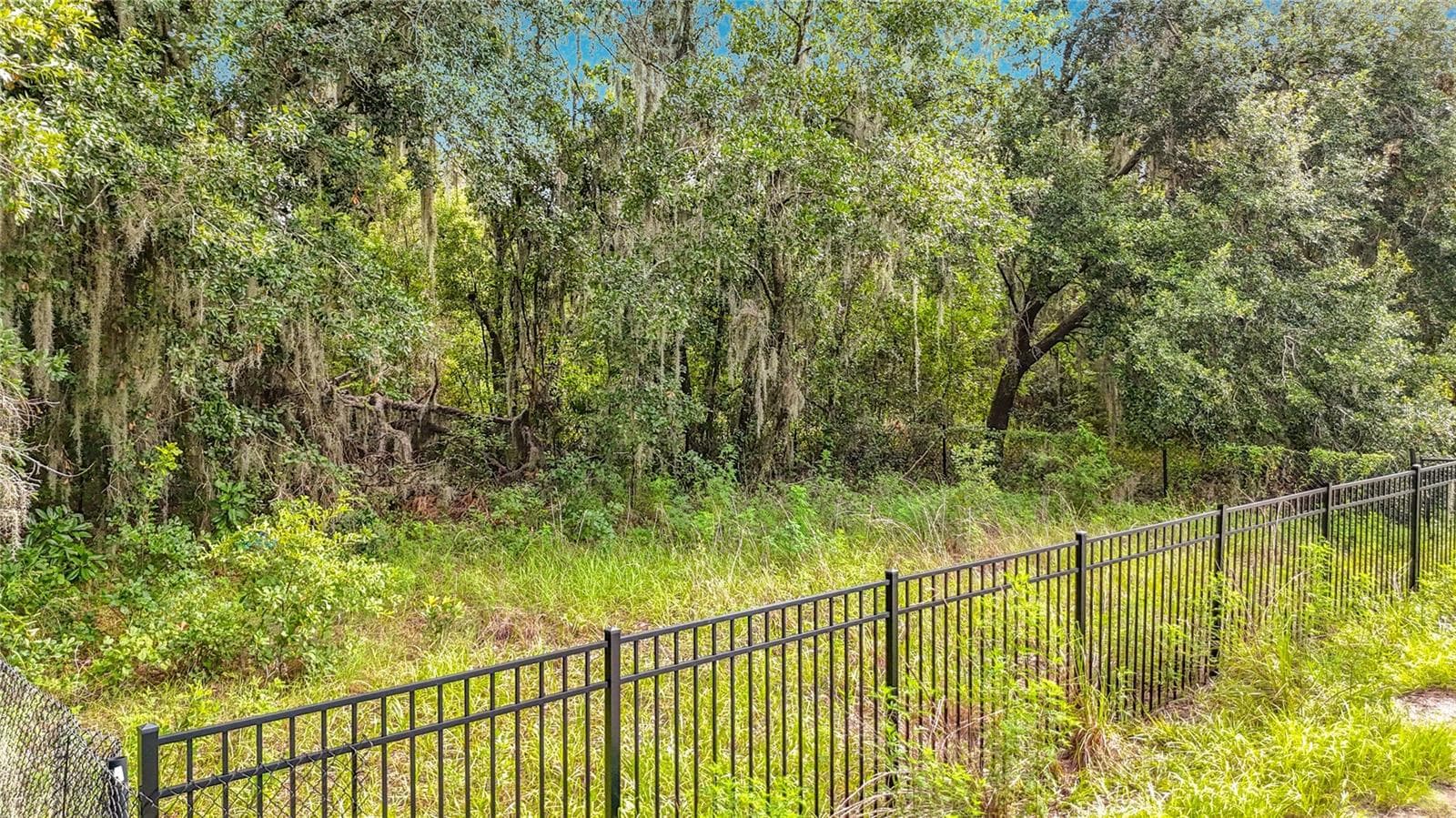 Land at 10623 LITHIA ESTATES DR, LITHIA, photo 9 of 17