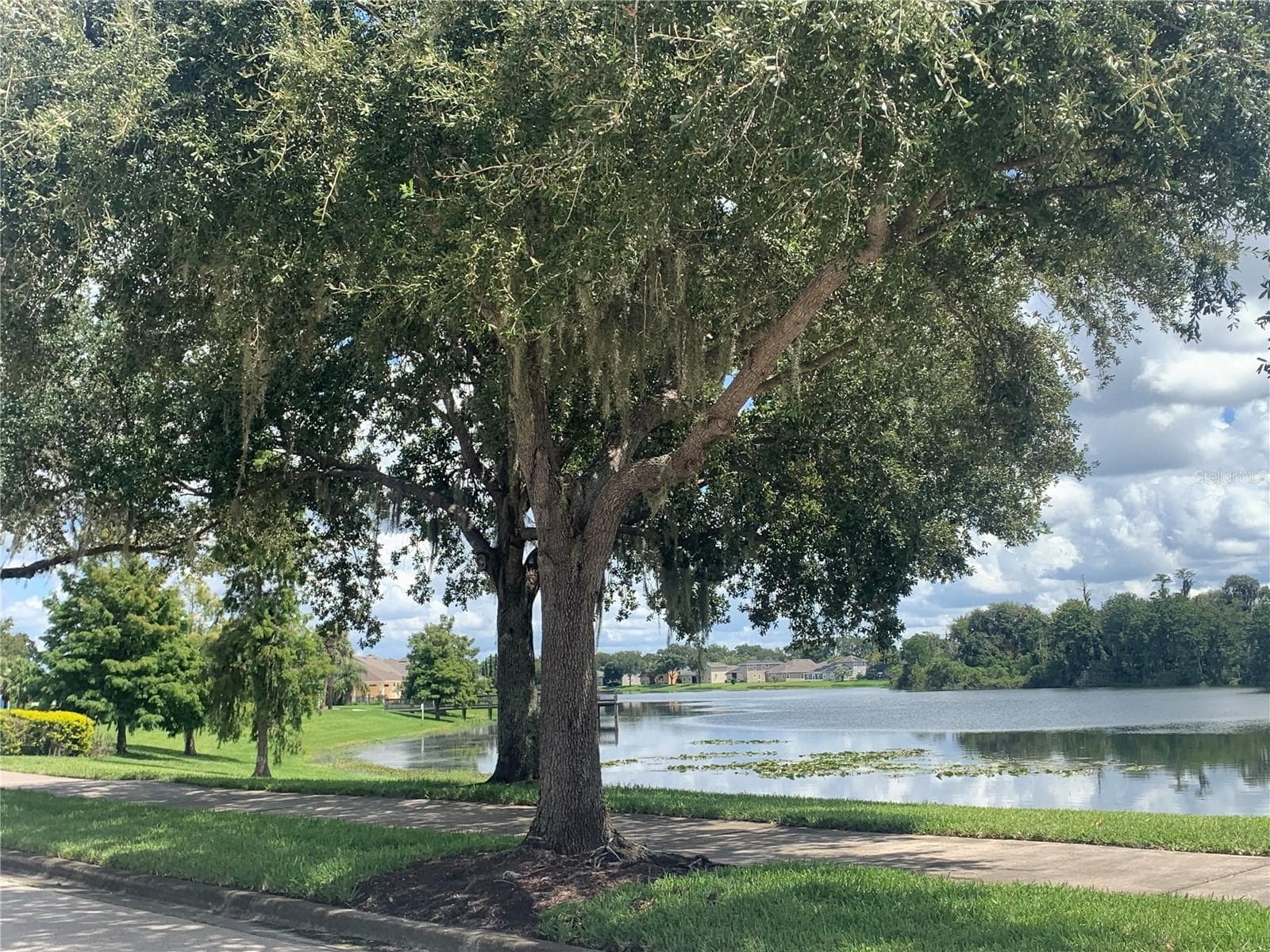 VIEW OF THE LAKE FROM THE FRONT DOOR - 6738 VISTA PARK BLVD, ORLANDO