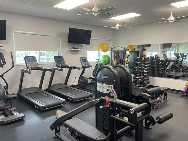 Full Equipment Gym - 636 MOUNT PINEY AVE NE #702, ST PETERSBURG