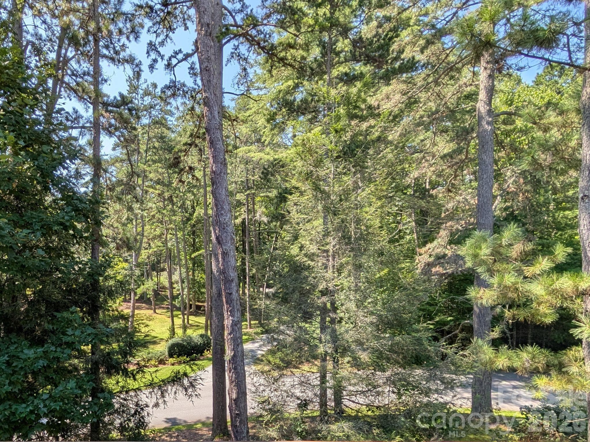 Covered Back Deck View - 47 Ridgetop Circle, Brevard