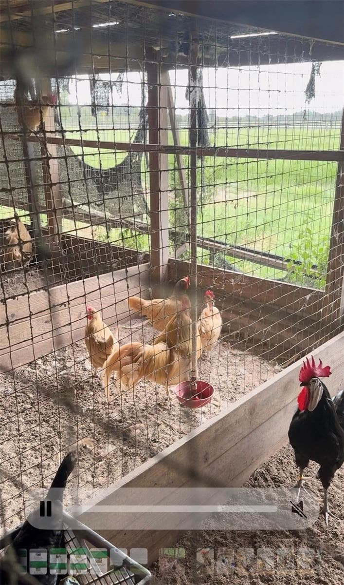 Chicken Coop - 8235 STATE ROAD 64 W, ONA