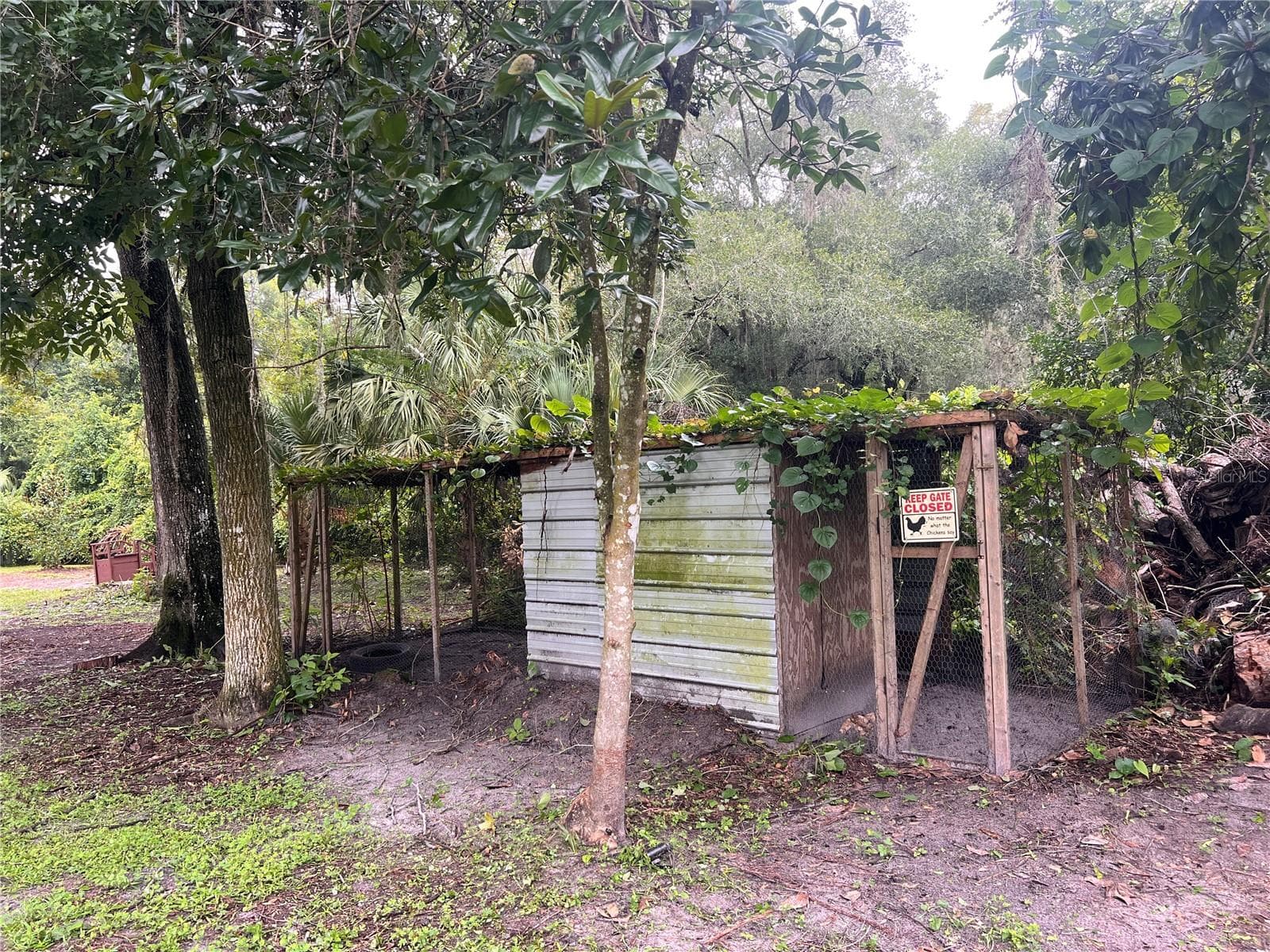 Chicken Coop - 4511 E BAHIA LN, HERNANDO