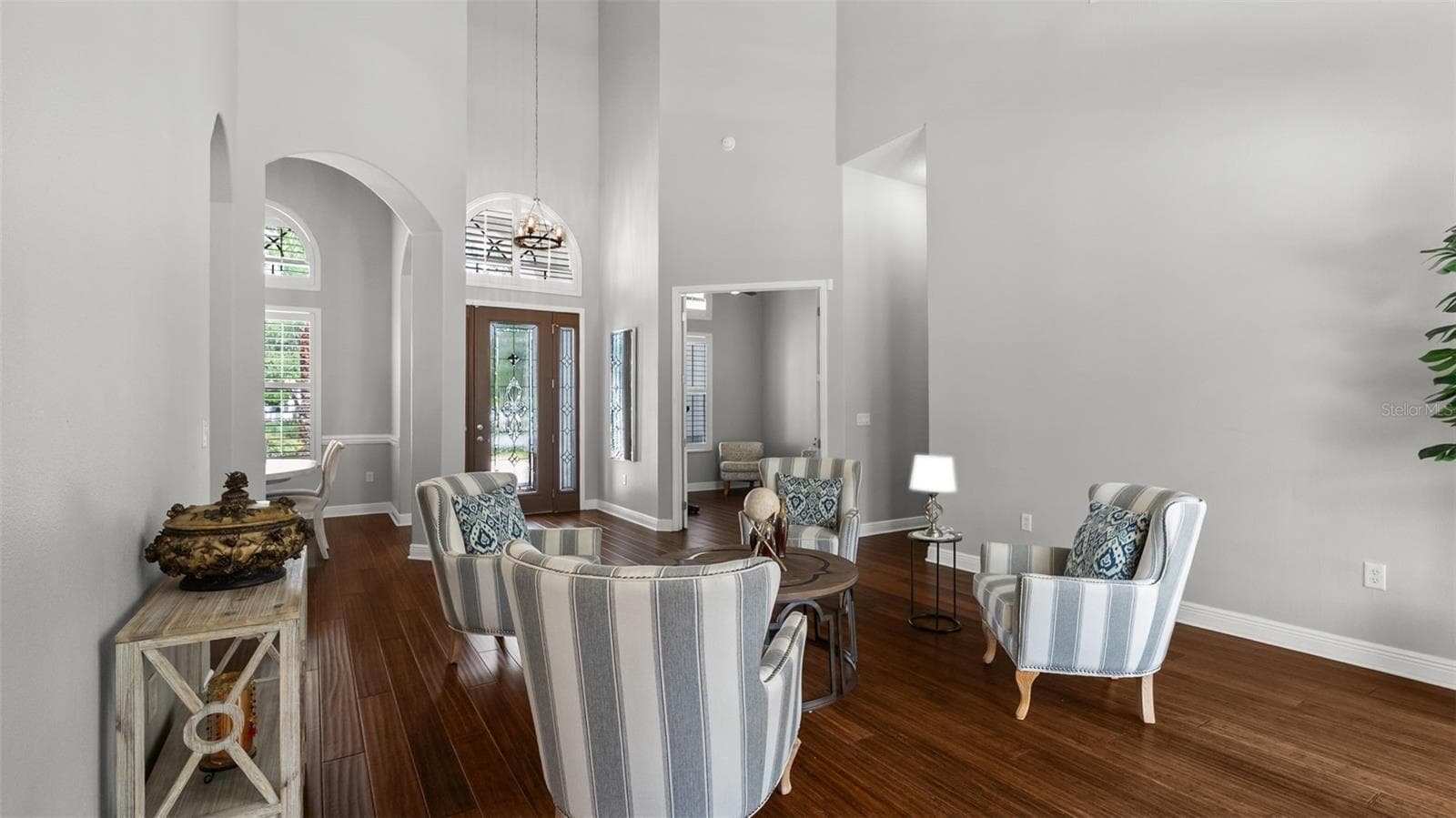 Living Room - 20101 FAIR HILL WAY, TAMPA