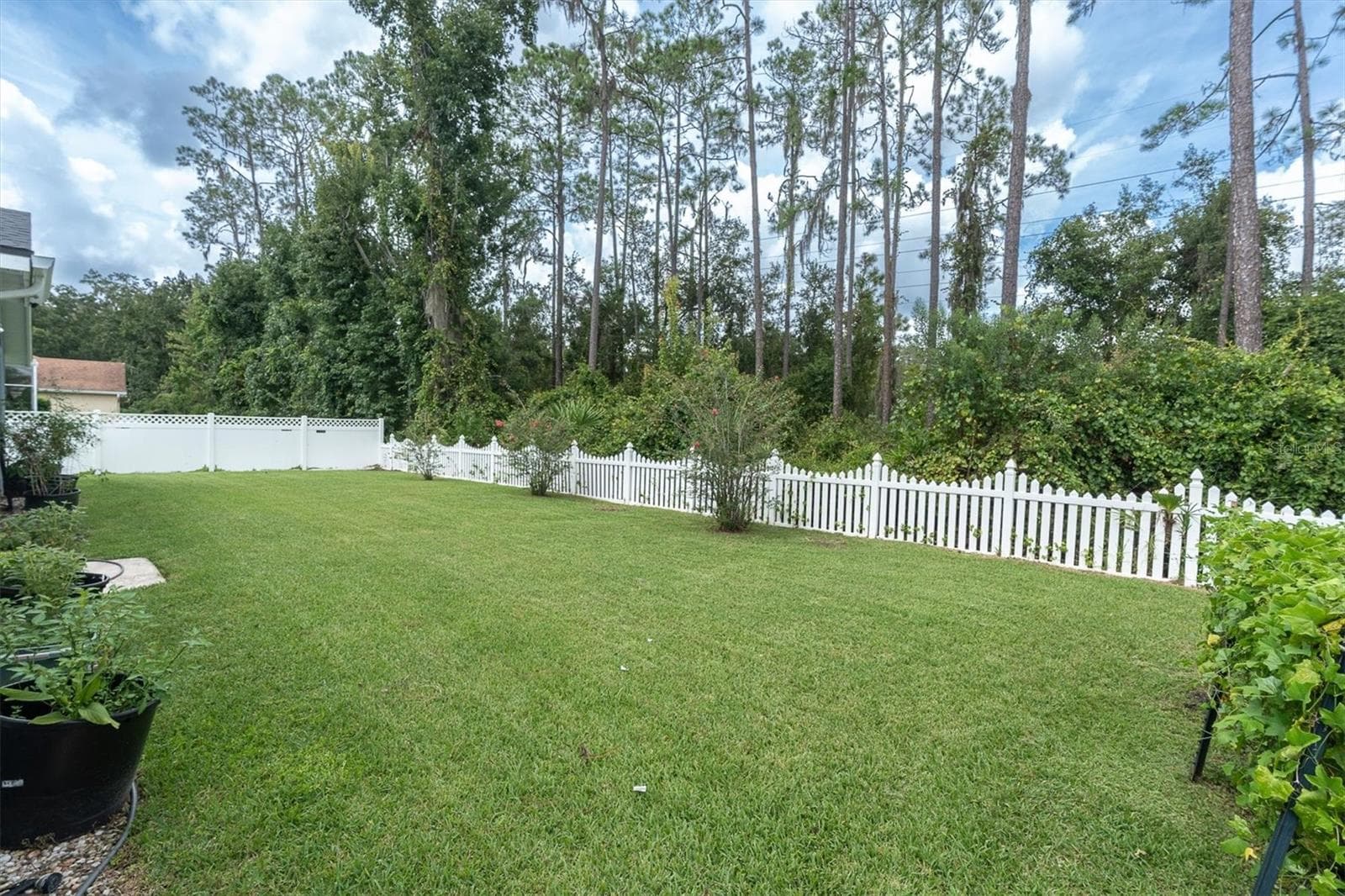 Single Family Residence at 27027 BRUSH CREEK WAY, WESLEY CHAPEL, photo 7 of 74