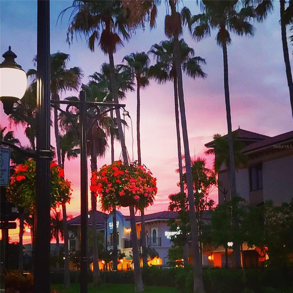 Sunset downtown Venice - DEXTER RD, NORTH PORT