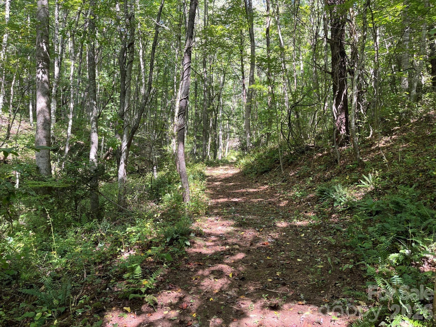 Within the woods are well maintained trails - 132 Hurd Road, Canton
