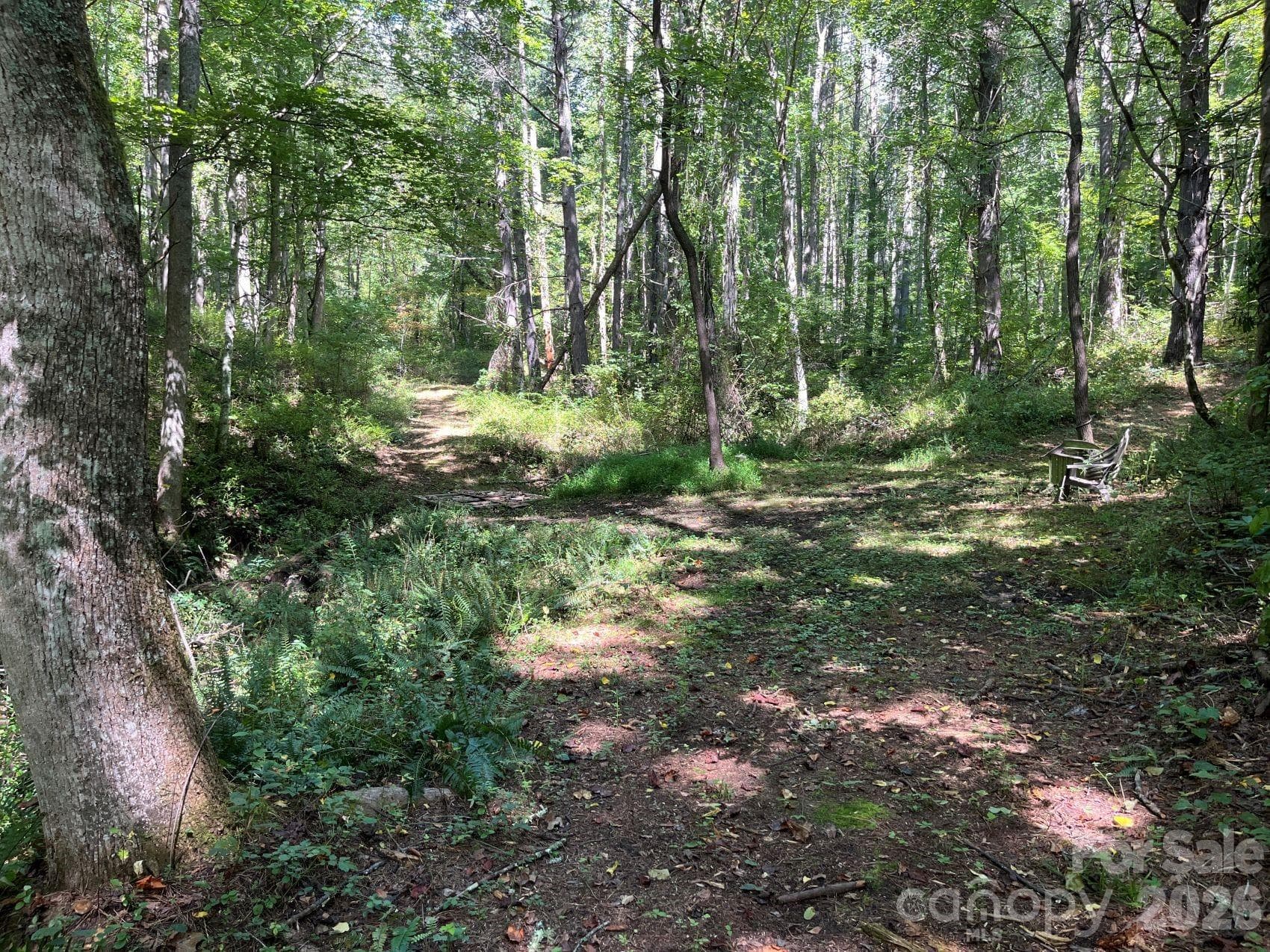 Some of the trails within the woods - 132 Hurd Road, Canton