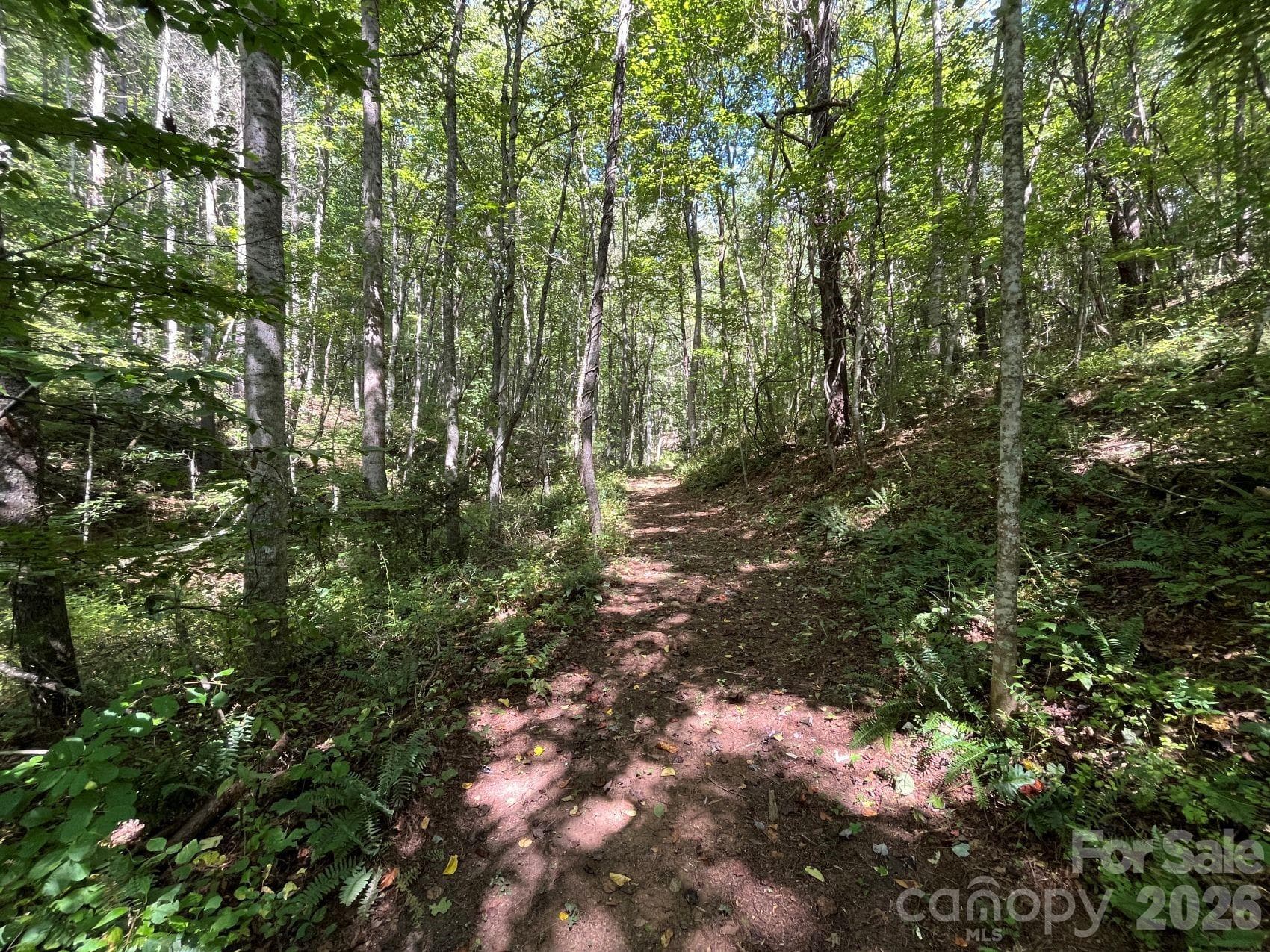 Some of excellent interior trails - 132 Hurd Road, Canton