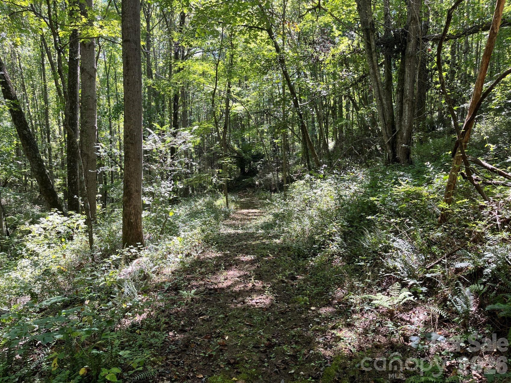 Easy topo in the woodlands - 132 Hurd Road, Canton
