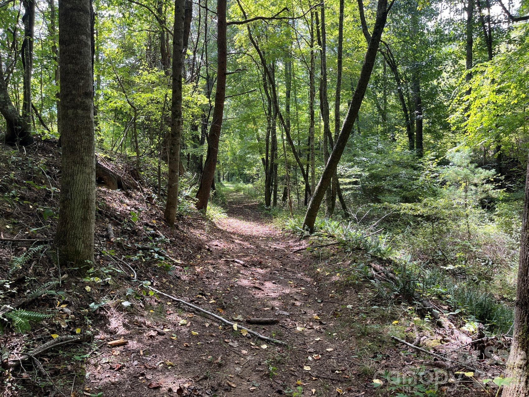 More trails - 132 Hurd Road, Canton