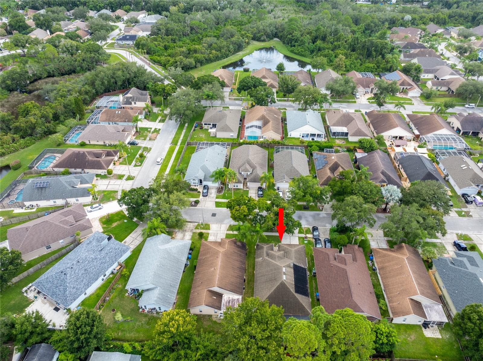 Single Family Residence at 10274 OASIS PALM DR, TAMPA, photo 43 of 45