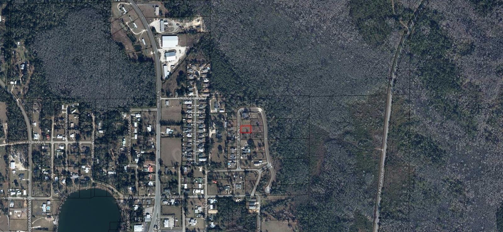 Land at CHARLIE GASKIN DR, WEWAHITCHKA, photo 3 of 3