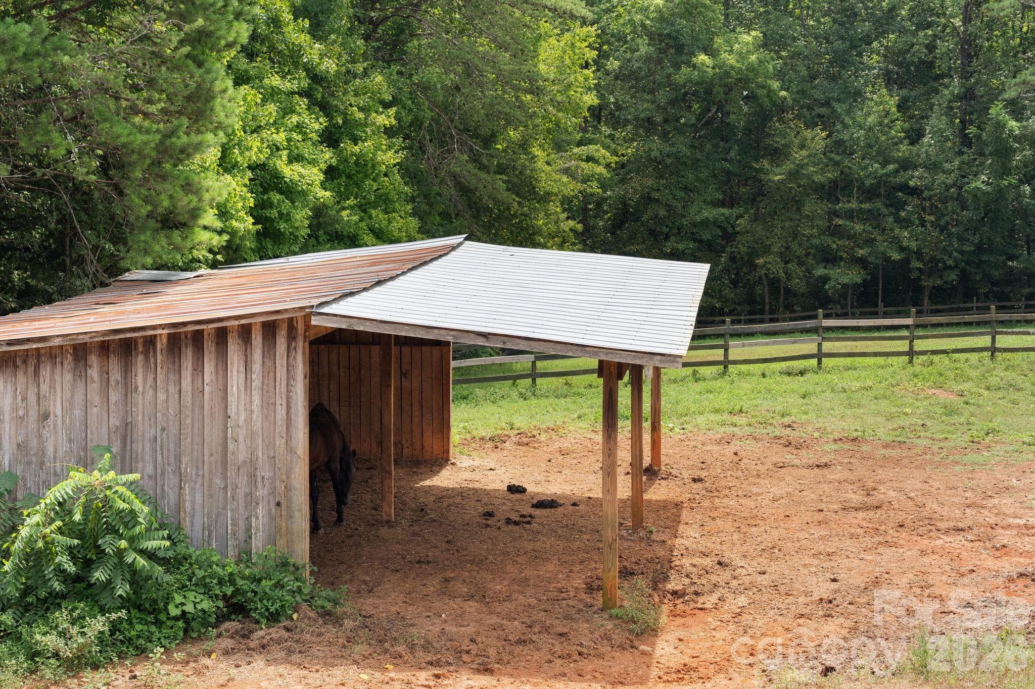 Run in sheds in pastures - 160 Palomino Trail, Mount Holly