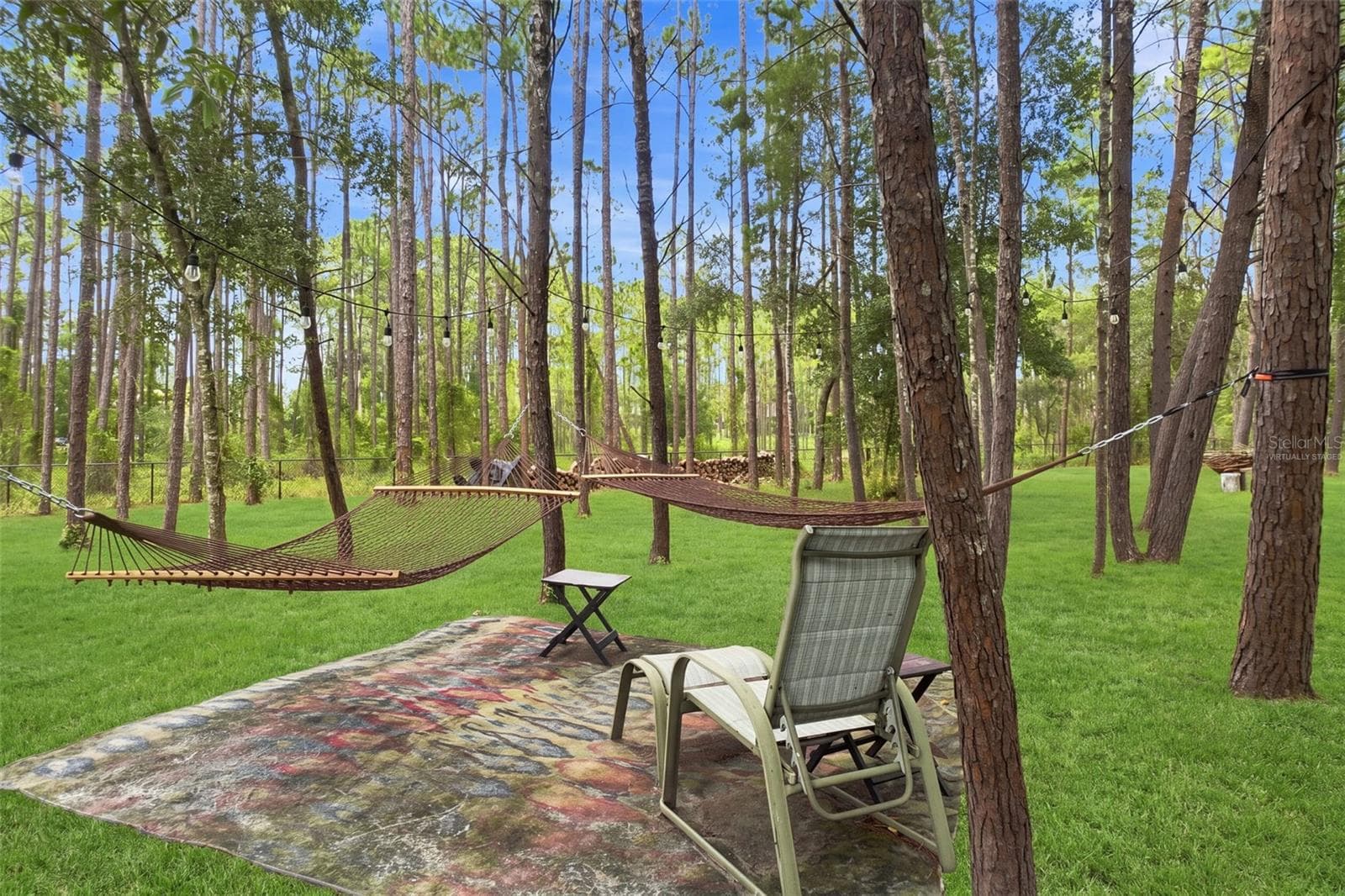 Backyard - 10261 WOODLAND WATERS BLVD, WEEKI WACHEE