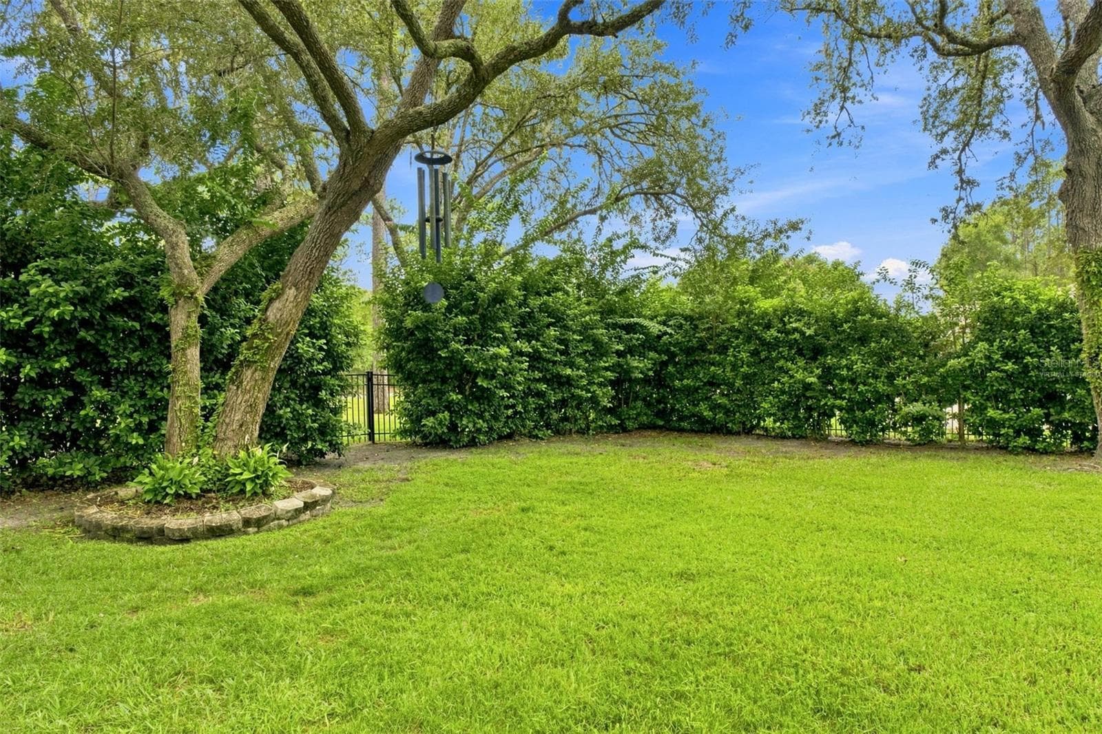 Backyard - 10261 WOODLAND WATERS BLVD, WEEKI WACHEE