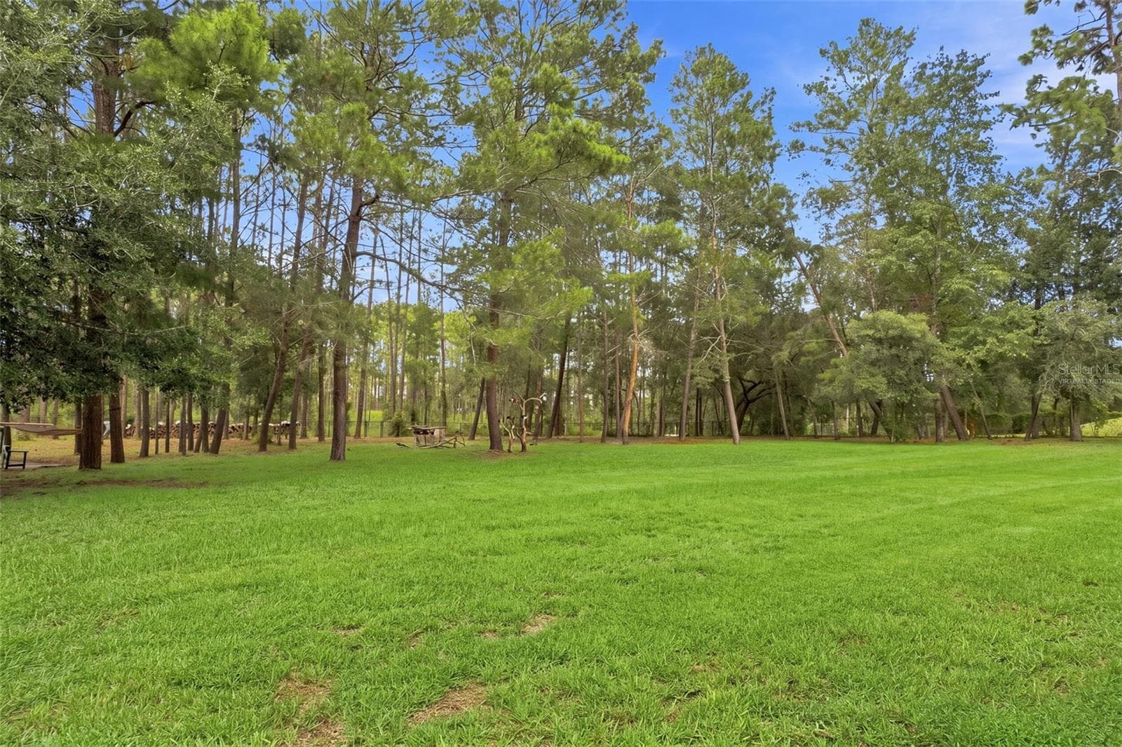 Backyard - 10261 WOODLAND WATERS BLVD, WEEKI WACHEE