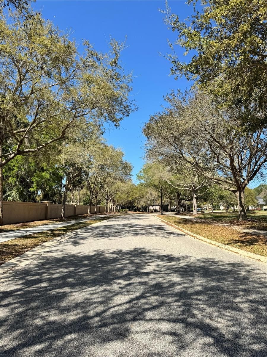 Single Family Residence at 341 CHELSEA PLACE AVE, ORMOND BEACH, photo 38 of 51