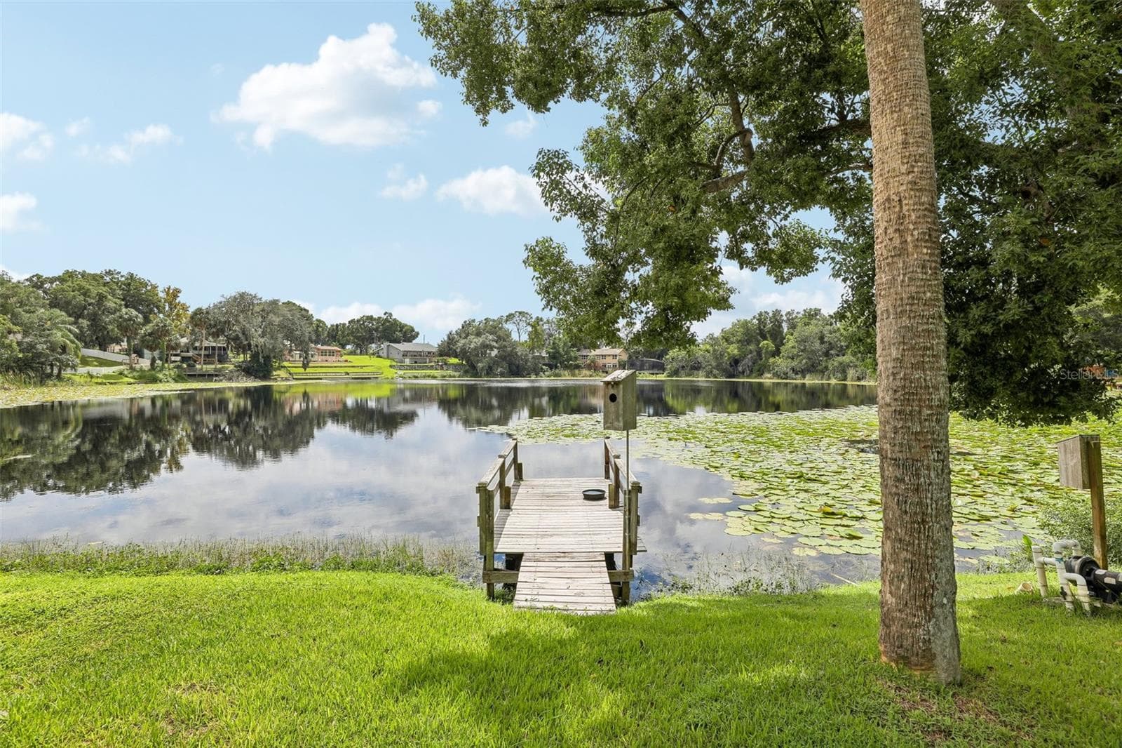 Lake Irma - 1460 GROVE ST, EUSTIS
