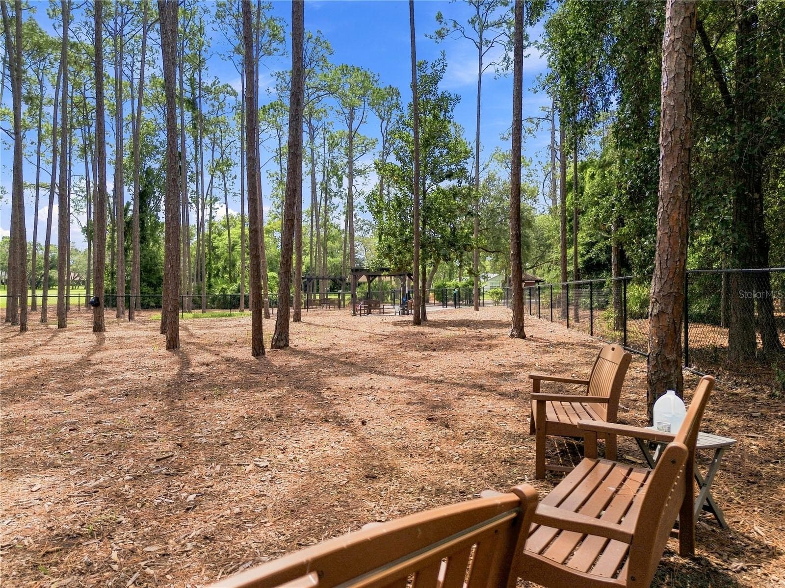 Dog Park - 6706 OAK CLUSTER CIR, SPRING HILL