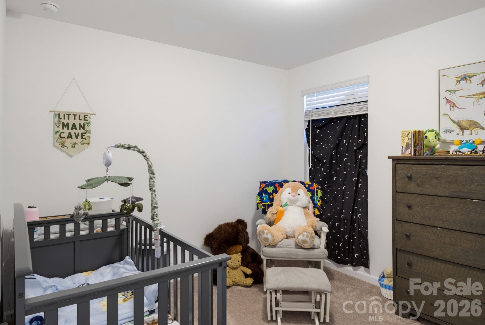 Single Family Residence at 10100 Travis Floyd Lane, Charlotte, photo 22 of 29