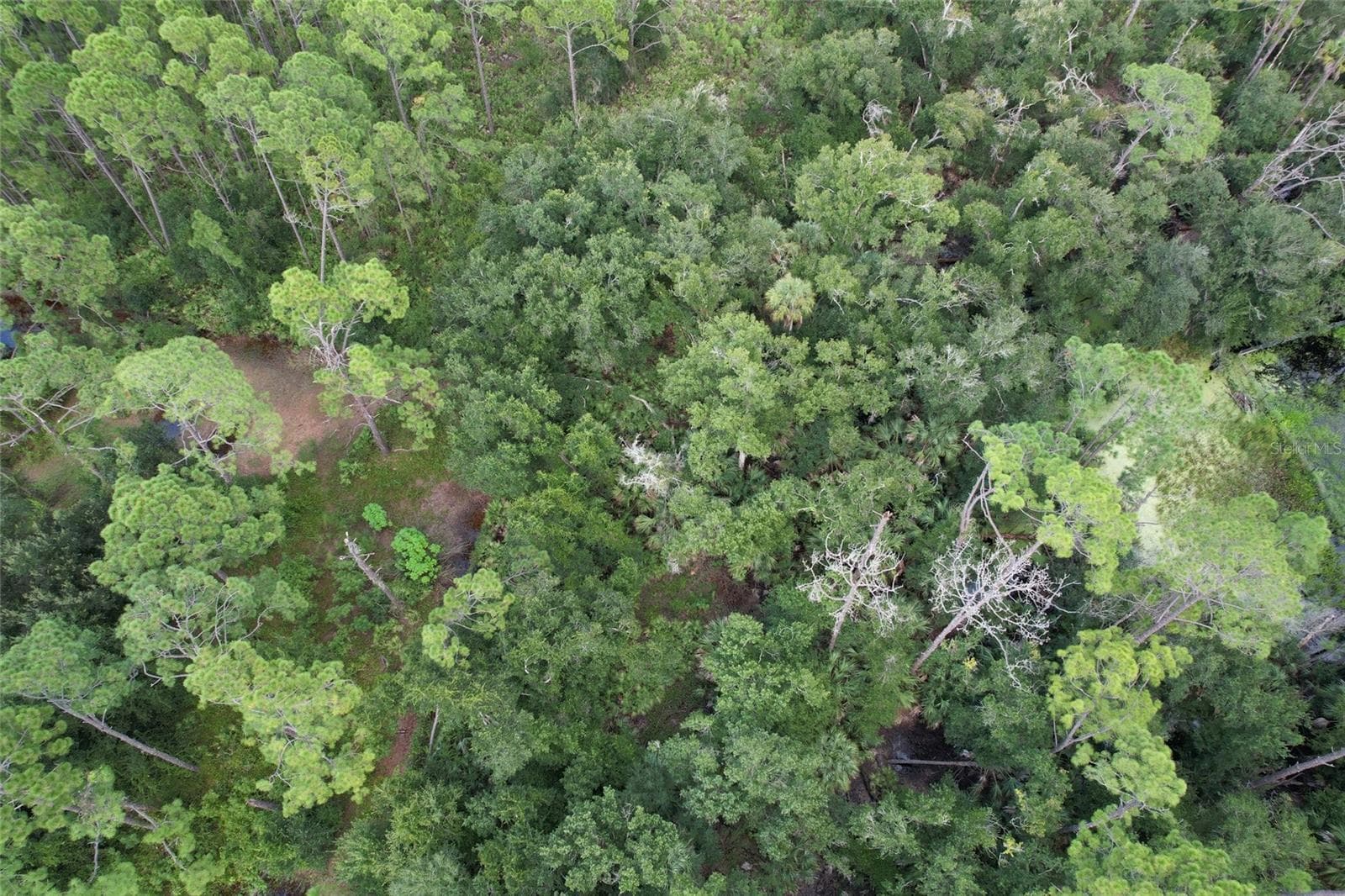 Land at 005 JOE JEFF ST, NORTH PORT, photo 5 of 6