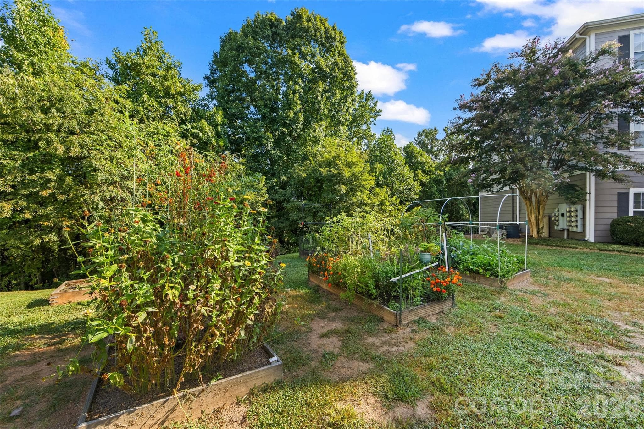 Condominium at 100 Vista Lake Drive, Candler, photo 51 of 55