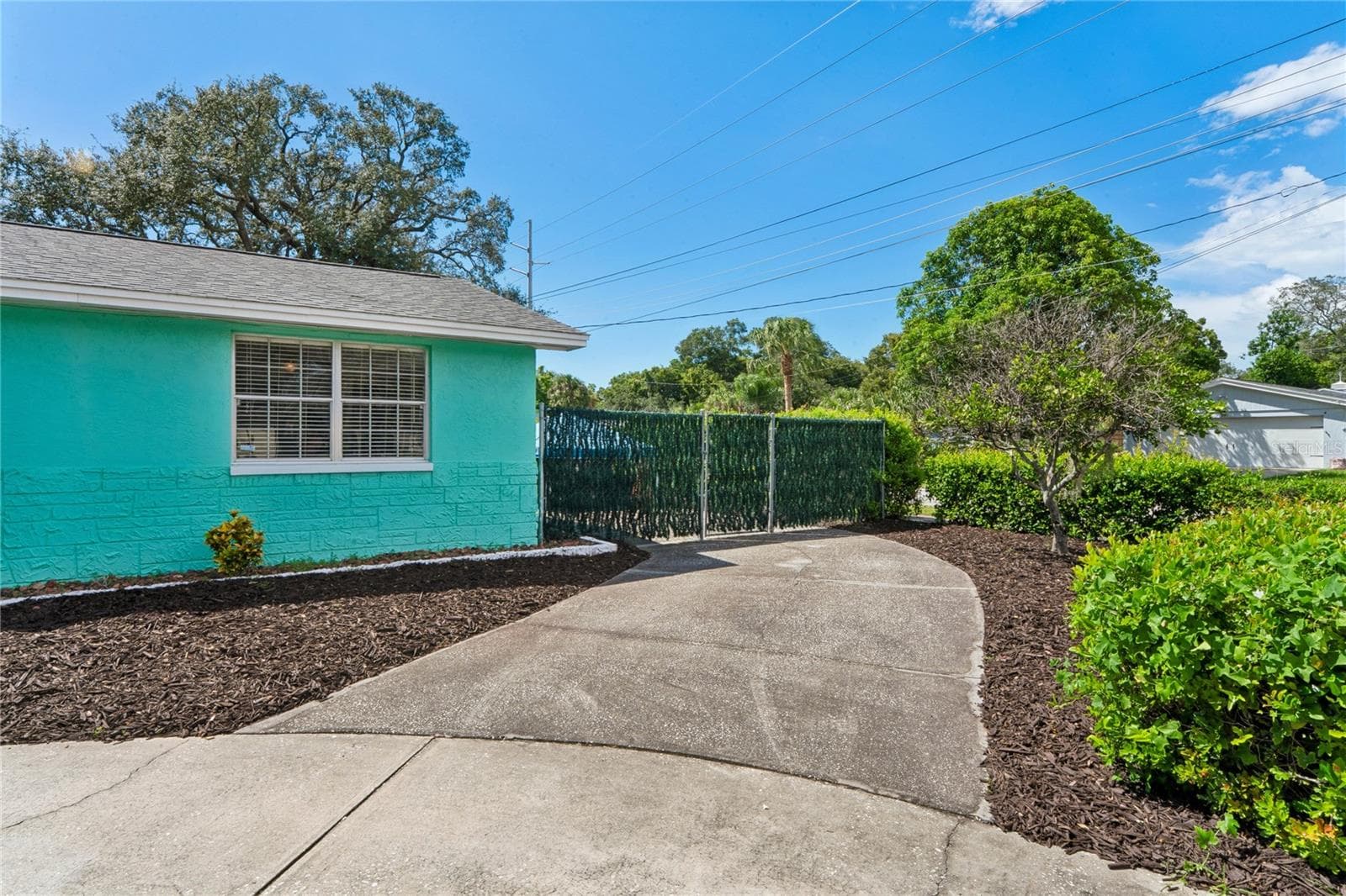Driveway - 223 N WALTON AVE, TARPON SPRINGS