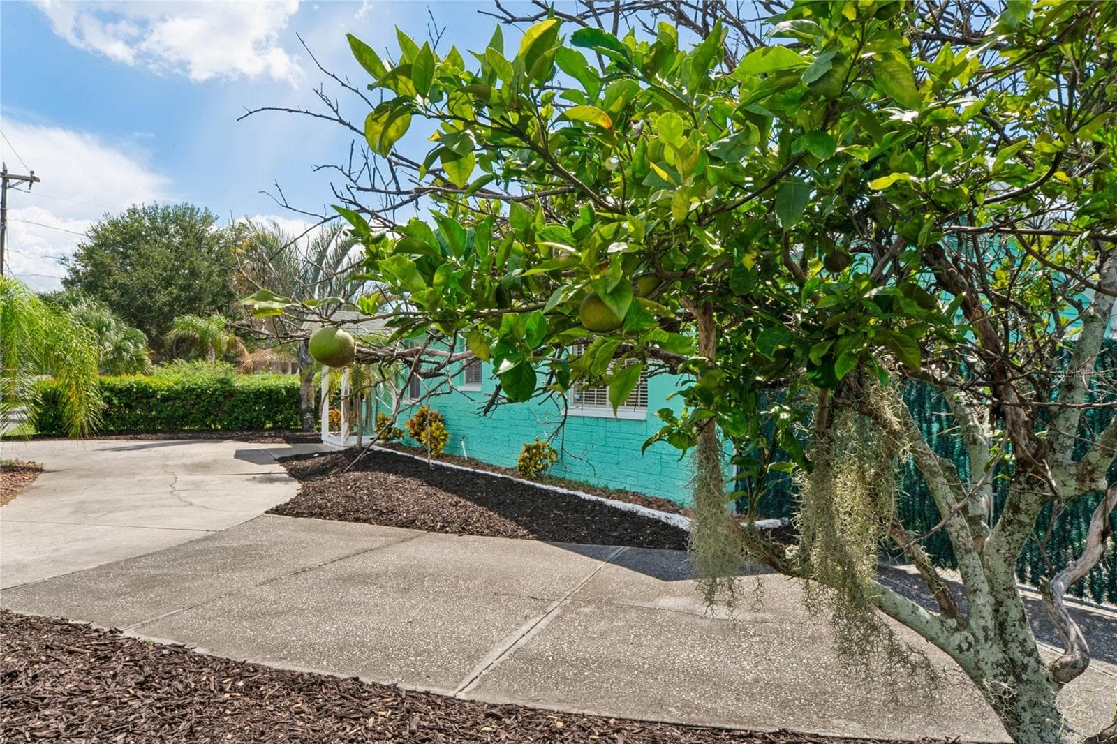 Single Family Residence at 223 N WALTON AVE, TARPON SPRINGS, photo 18 of 48