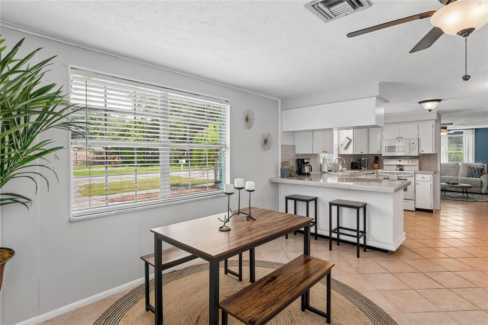 Single Family Residence at 223 N WALTON AVE, TARPON SPRINGS, photo 35 of 48