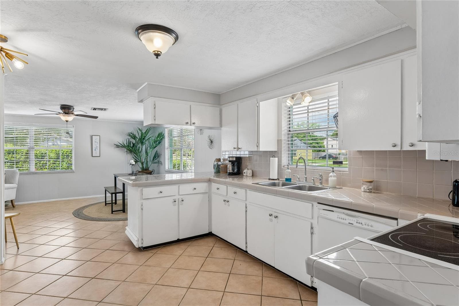 Single Family Residence at 223 N WALTON AVE, TARPON SPRINGS, photo 41 of 48