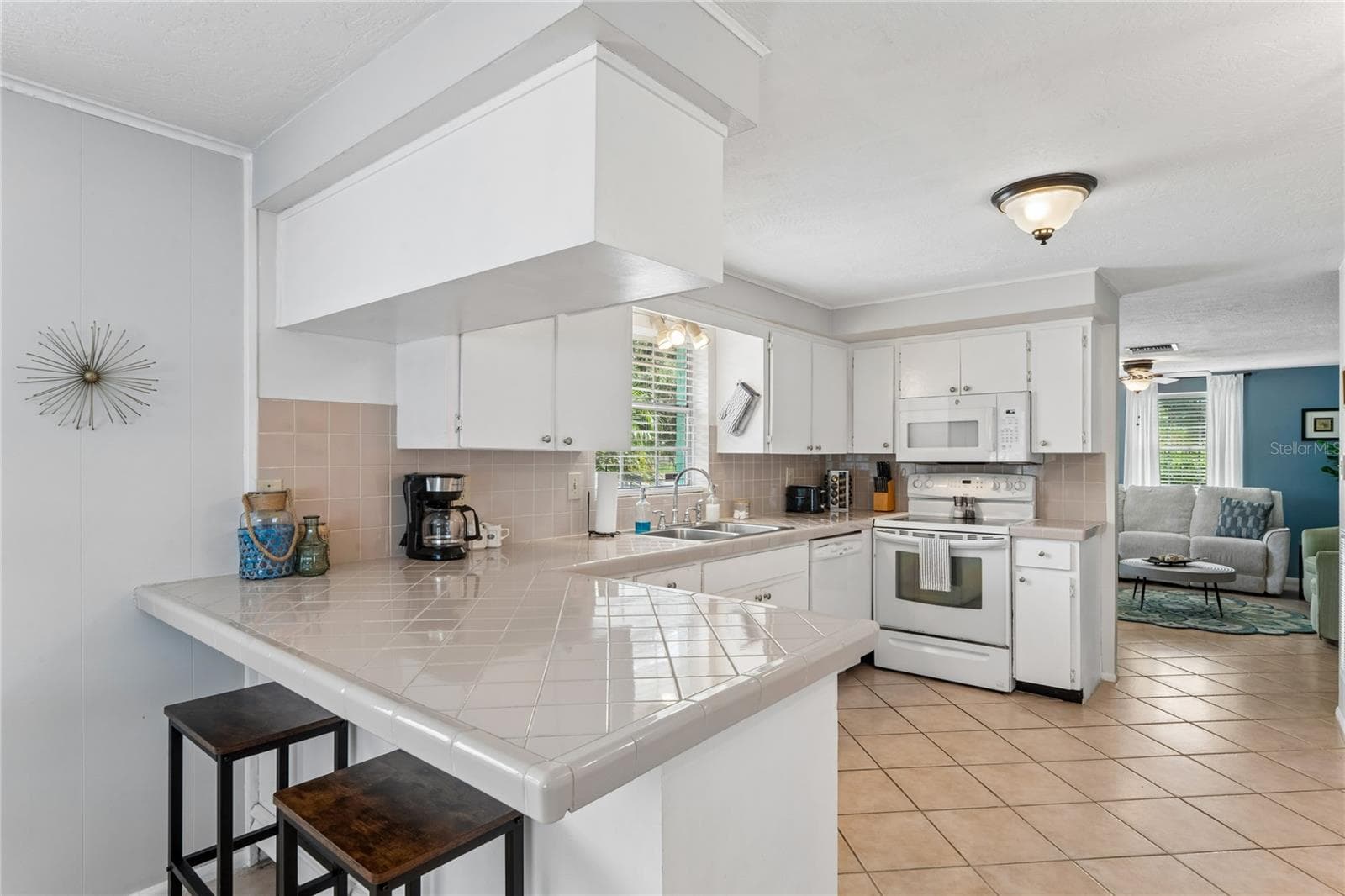 Single Family Residence at 223 N WALTON AVE, TARPON SPRINGS, photo 43 of 48
