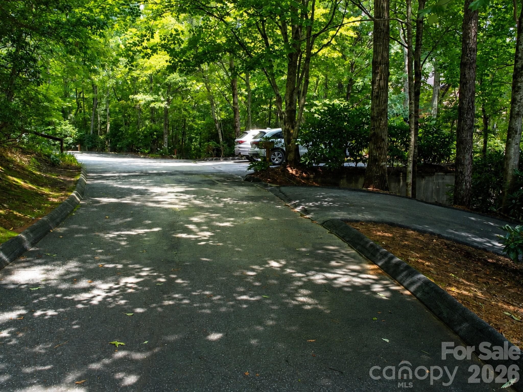 Interior subdivision road - 73 Toxaway Views Drive, Lake Toxaway