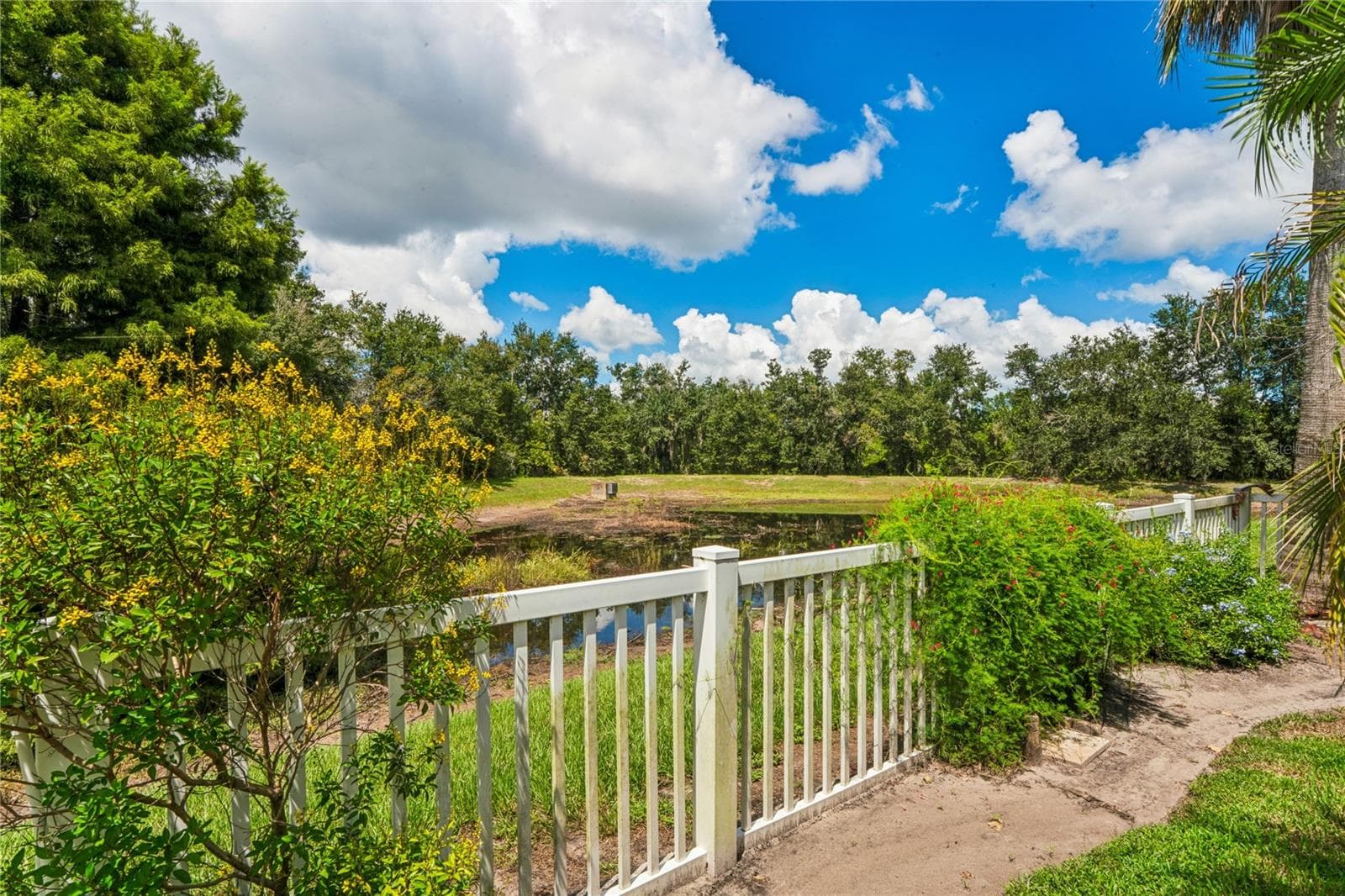 Fenced backyard - 23218 CYPRESS TRAIL DR, LUTZ