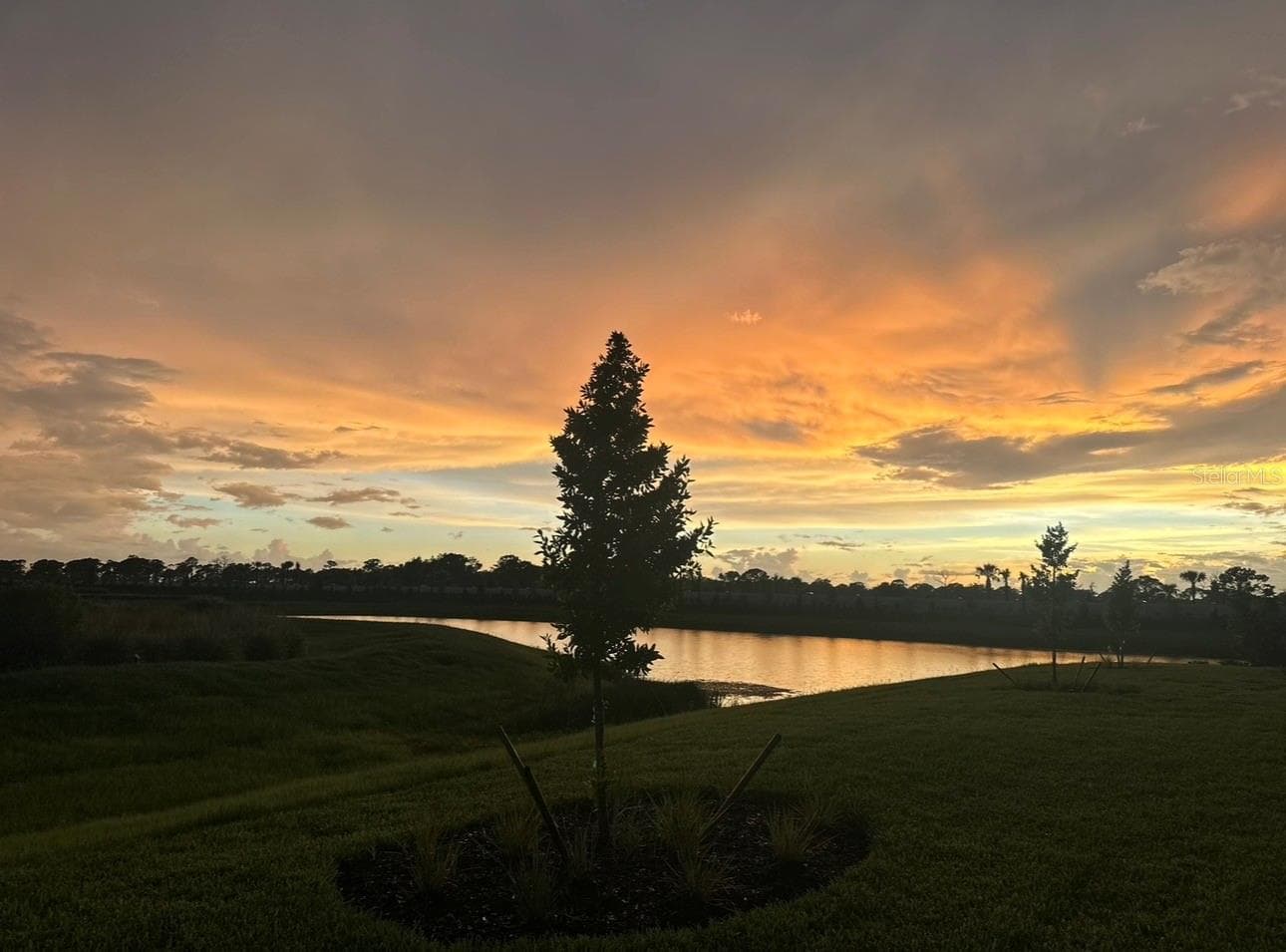 Sunset view - 14229 EAGLE BRANCH DR, NOKOMIS