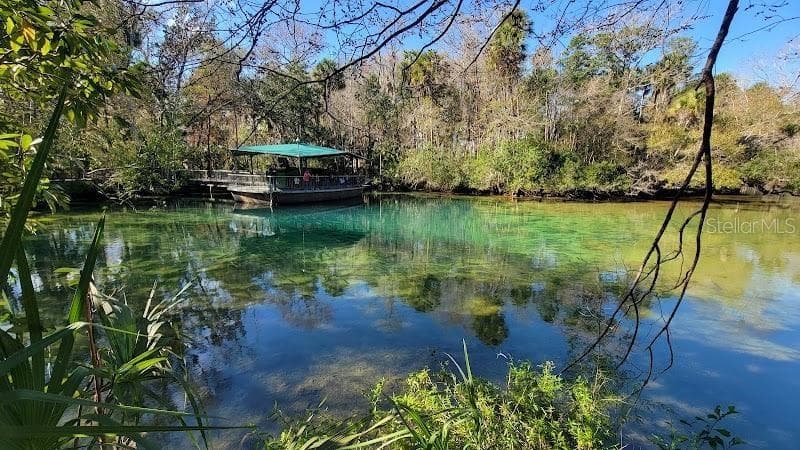 Land at 26 WILD OLIVE CT, HOMOSASSA, photo 8 of 8