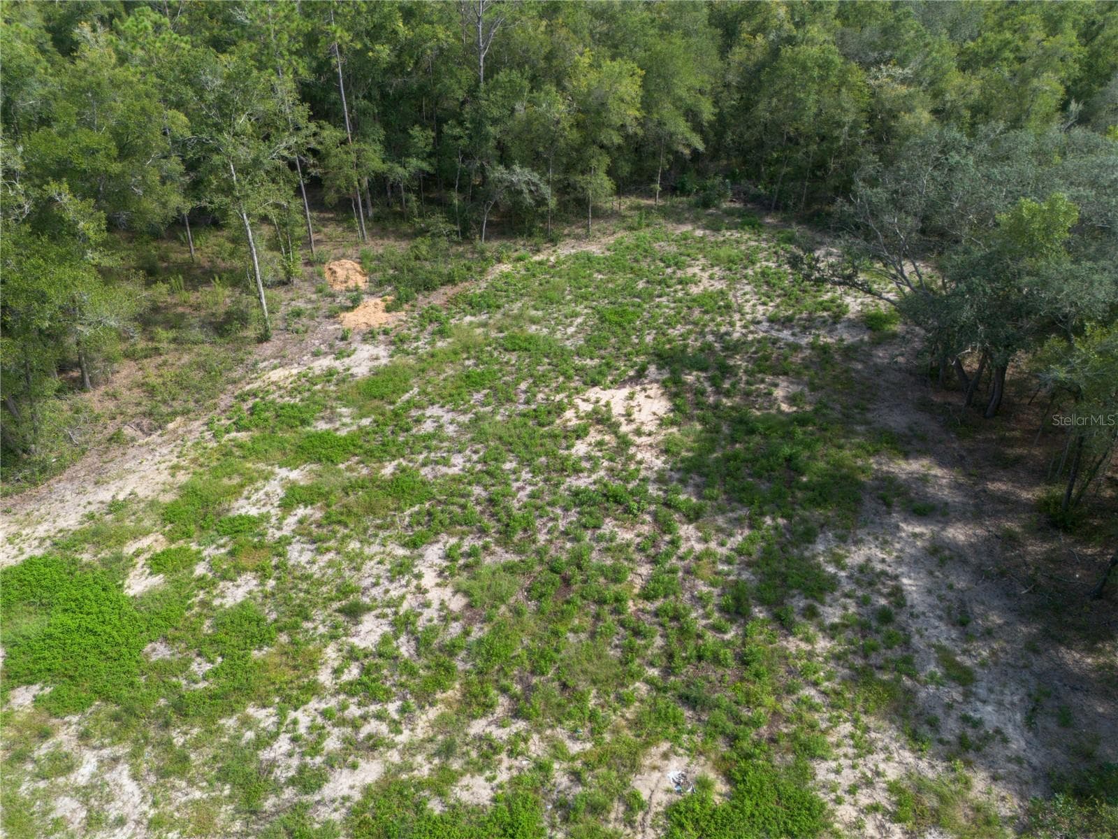 Land at TBD NE 82ND PL, BRONSON, photo 2 of 12