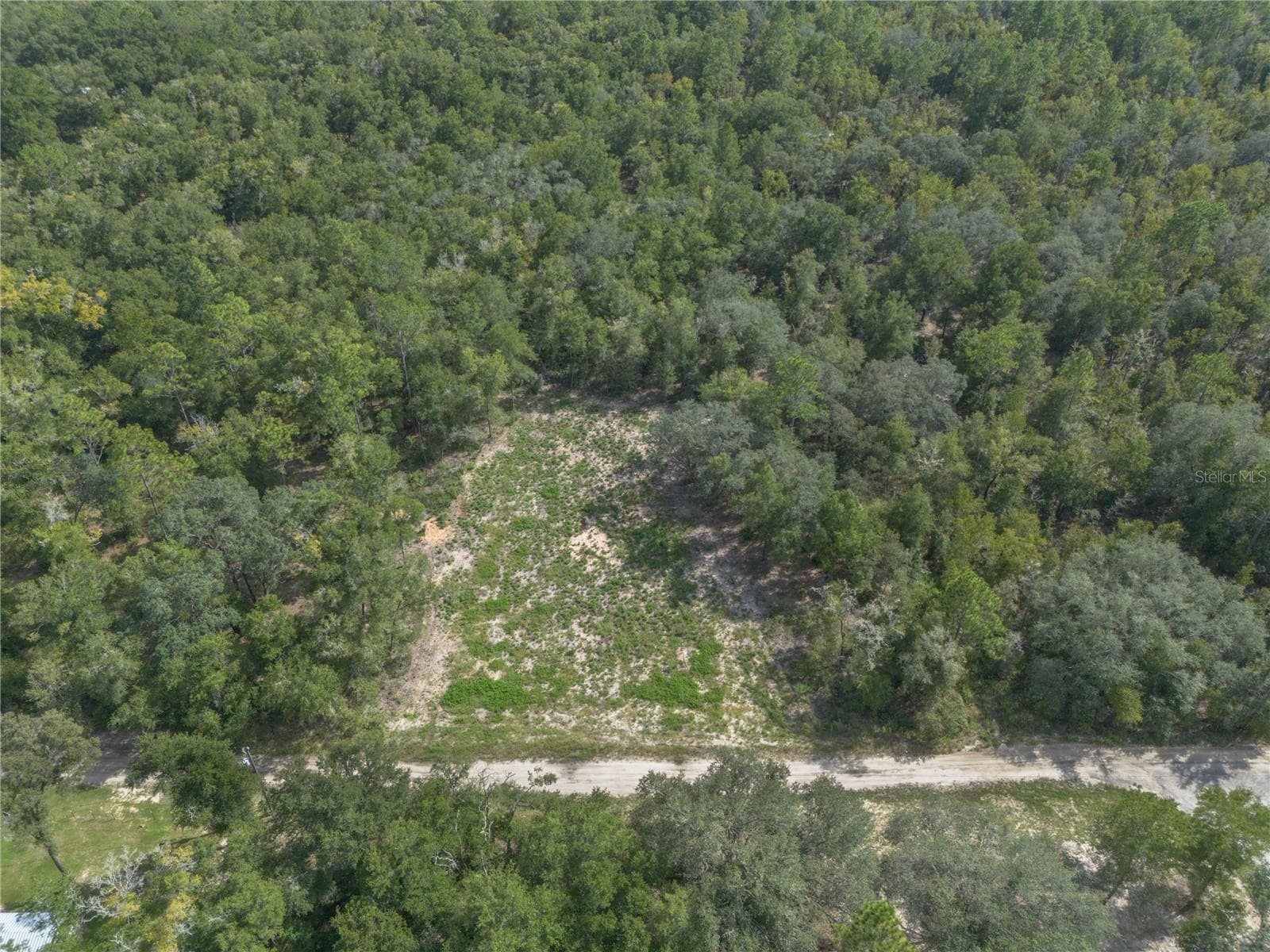 Land at TBD NE 82ND PL, BRONSON, photo 6 of 12
