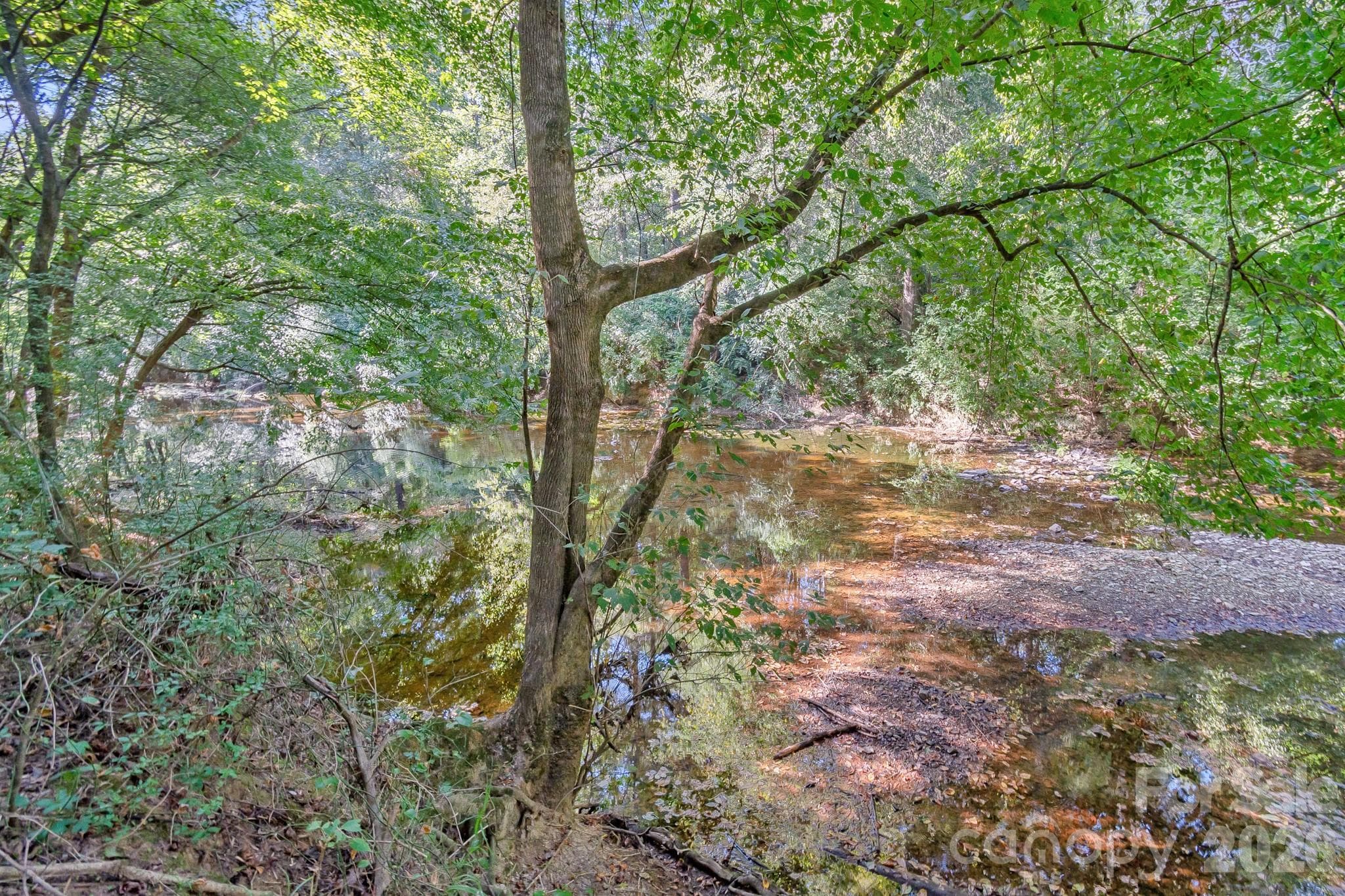 Acreage at 589 Bill Curlee Road, Polkton, photo 3 of 42
