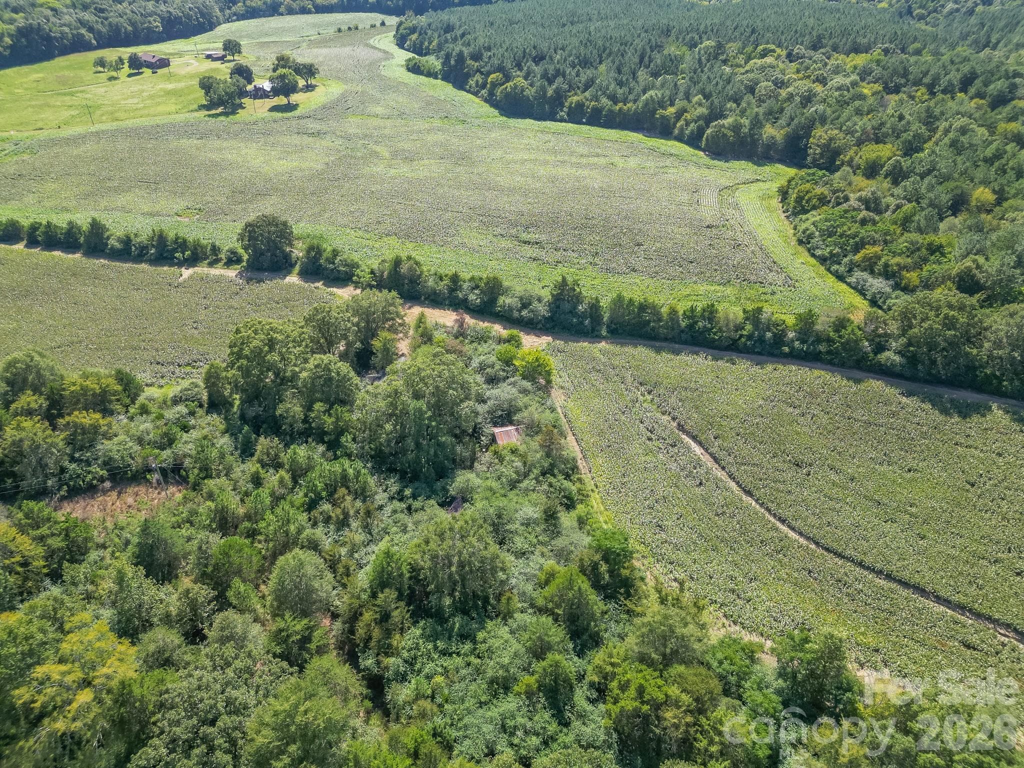 Acreage at 589 Bill Curlee Road, Polkton, photo 5 of 42