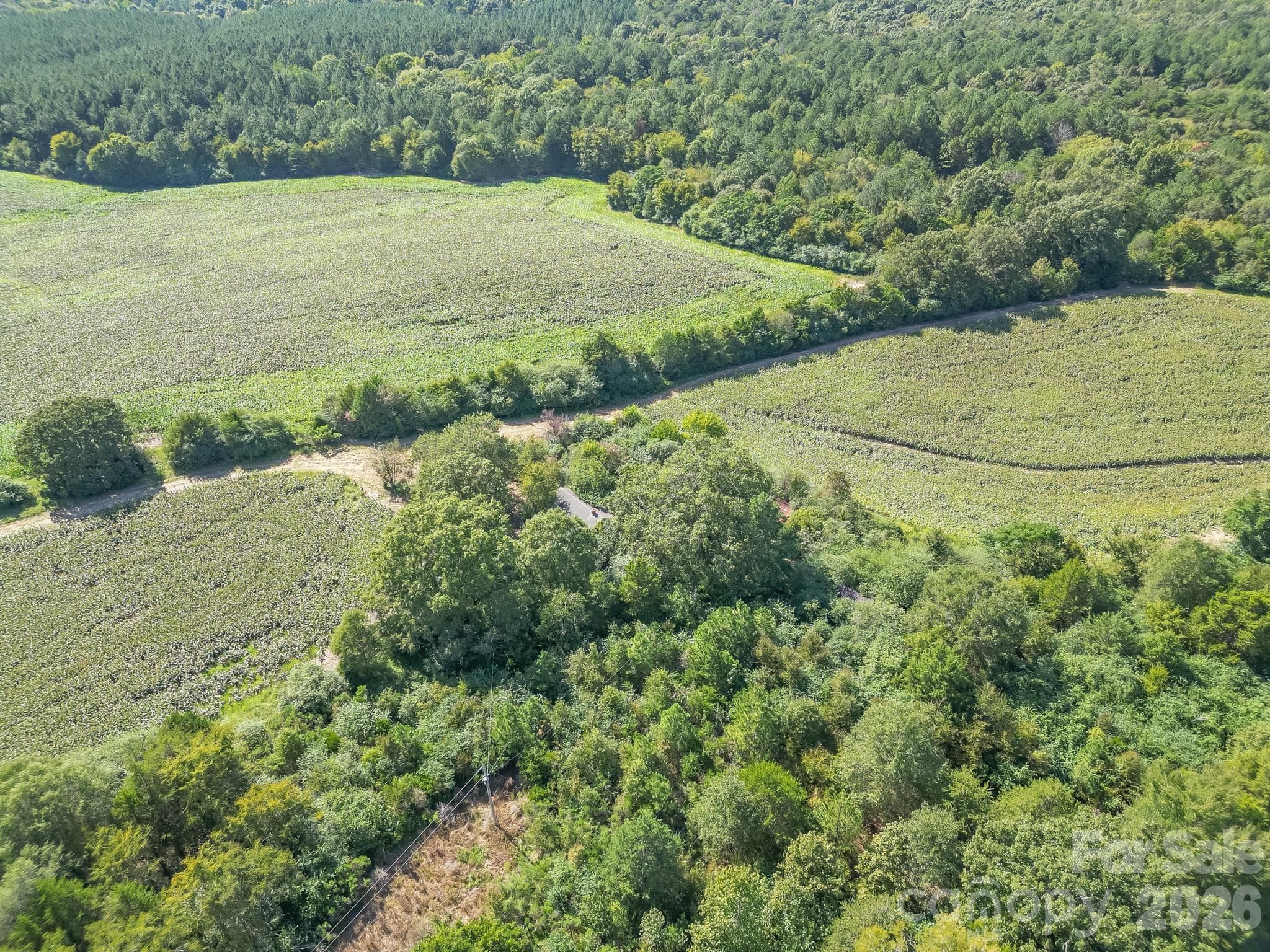 Acreage at 589 Bill Curlee Road, Polkton, photo 6 of 42