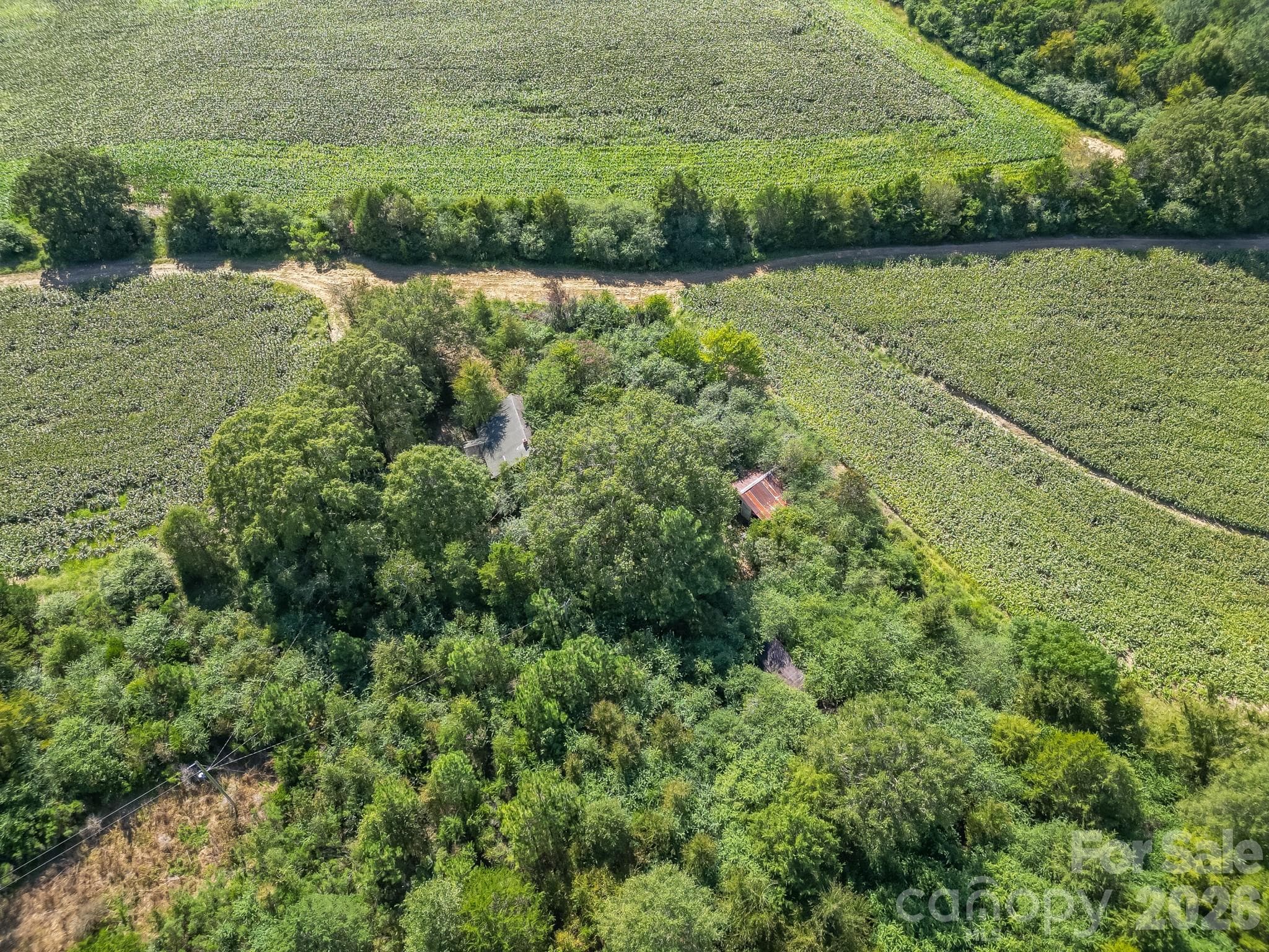 Acreage at 589 Bill Curlee Road, Polkton, photo 7 of 42