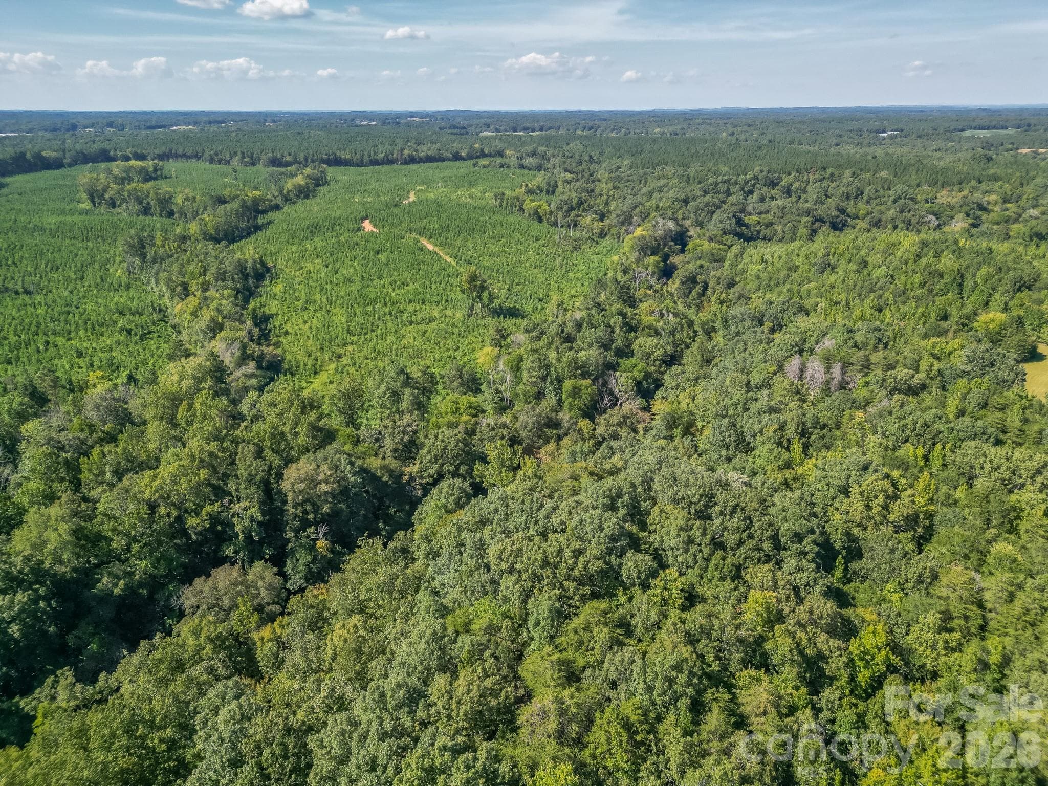 Acreage at 589 Bill Curlee Road, Polkton, photo 9 of 42