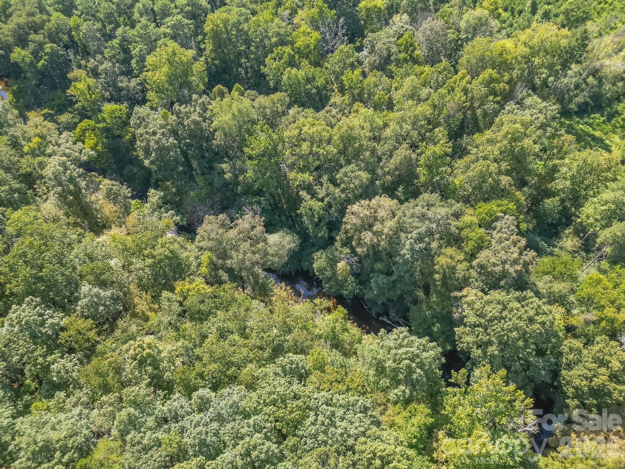 Acreage at 589 Bill Curlee Road, Polkton, photo 11 of 42
