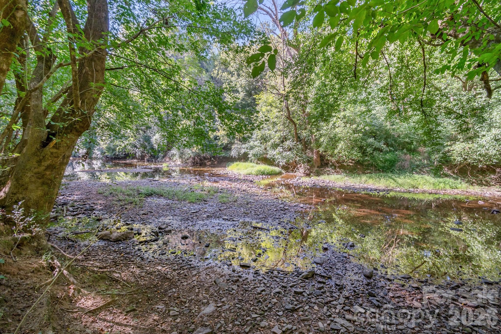 Acreage at 589 Bill Curlee Road, Polkton, photo 18 of 42
