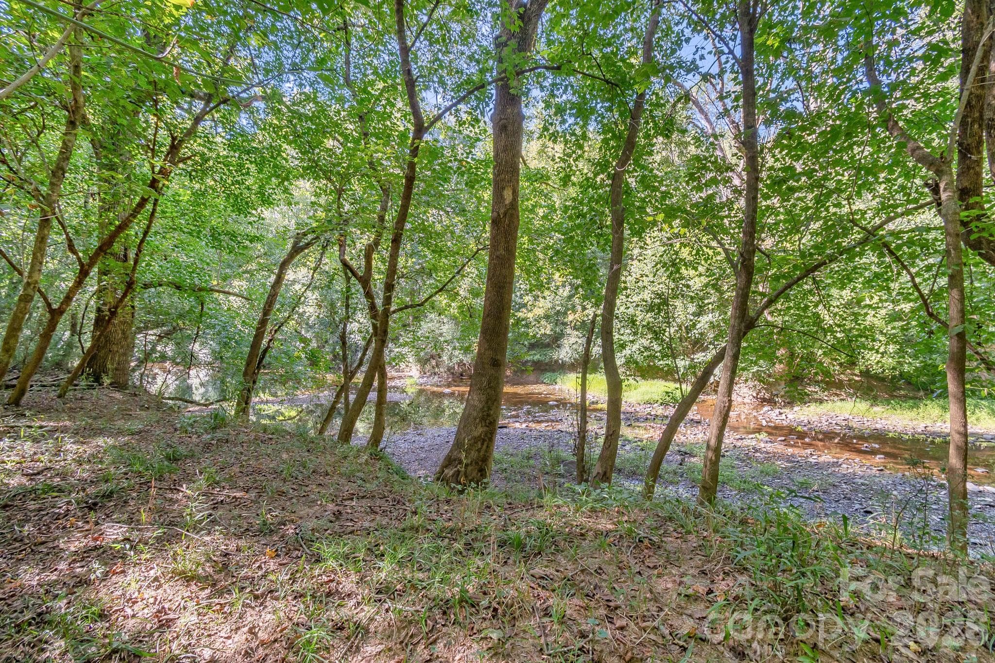 Acreage at 589 Bill Curlee Road, Polkton, photo 19 of 42