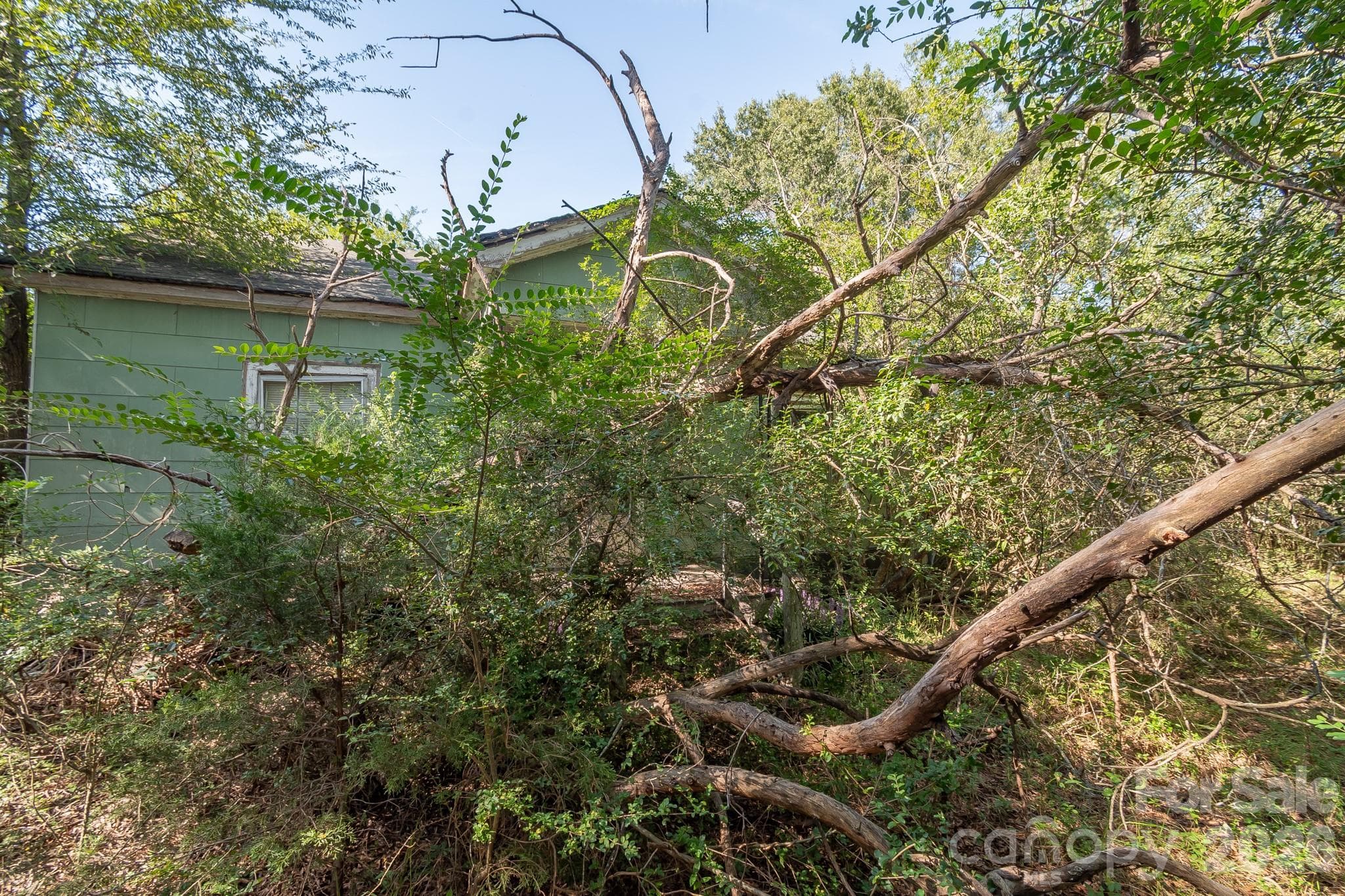 Acreage at 589 Bill Curlee Road, Polkton, photo 26 of 42