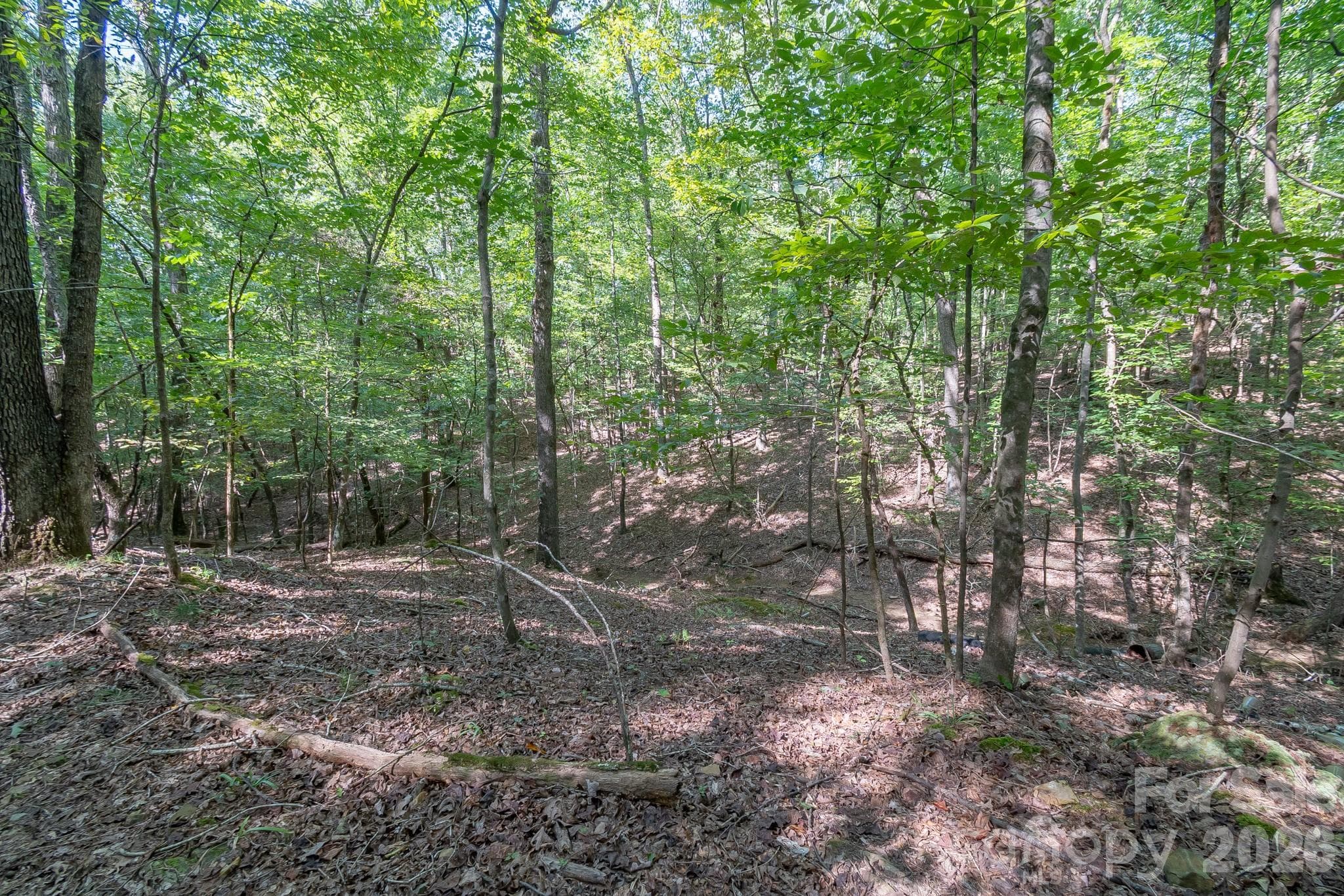 Acreage at 589 Bill Curlee Road, Polkton, photo 30 of 42