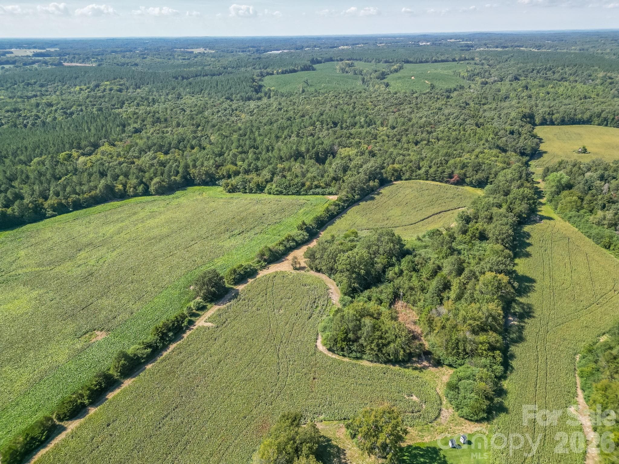 Acreage at 589 Bill Curlee Road, Polkton, photo 34 of 42