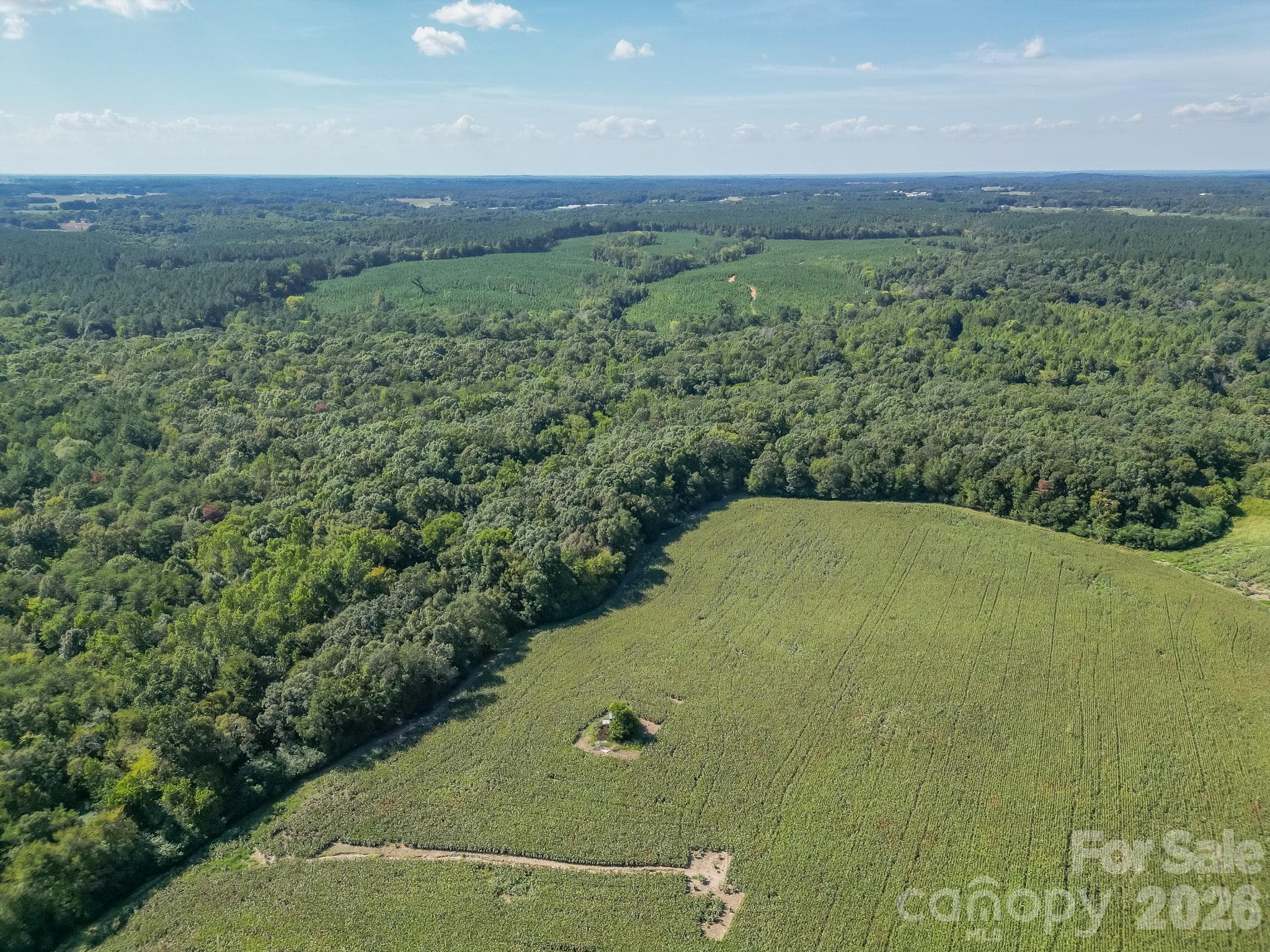 Acreage at 589 Bill Curlee Road, Polkton, photo 41 of 42