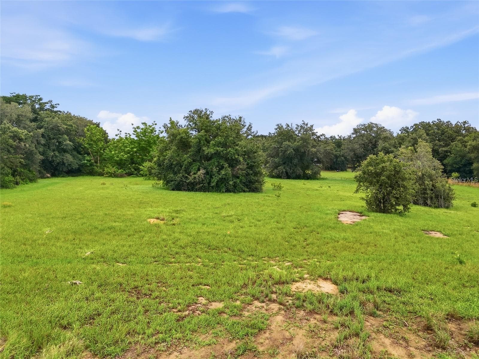 4.59 Acres - 1518 DICKENS RD, LAKE WALES